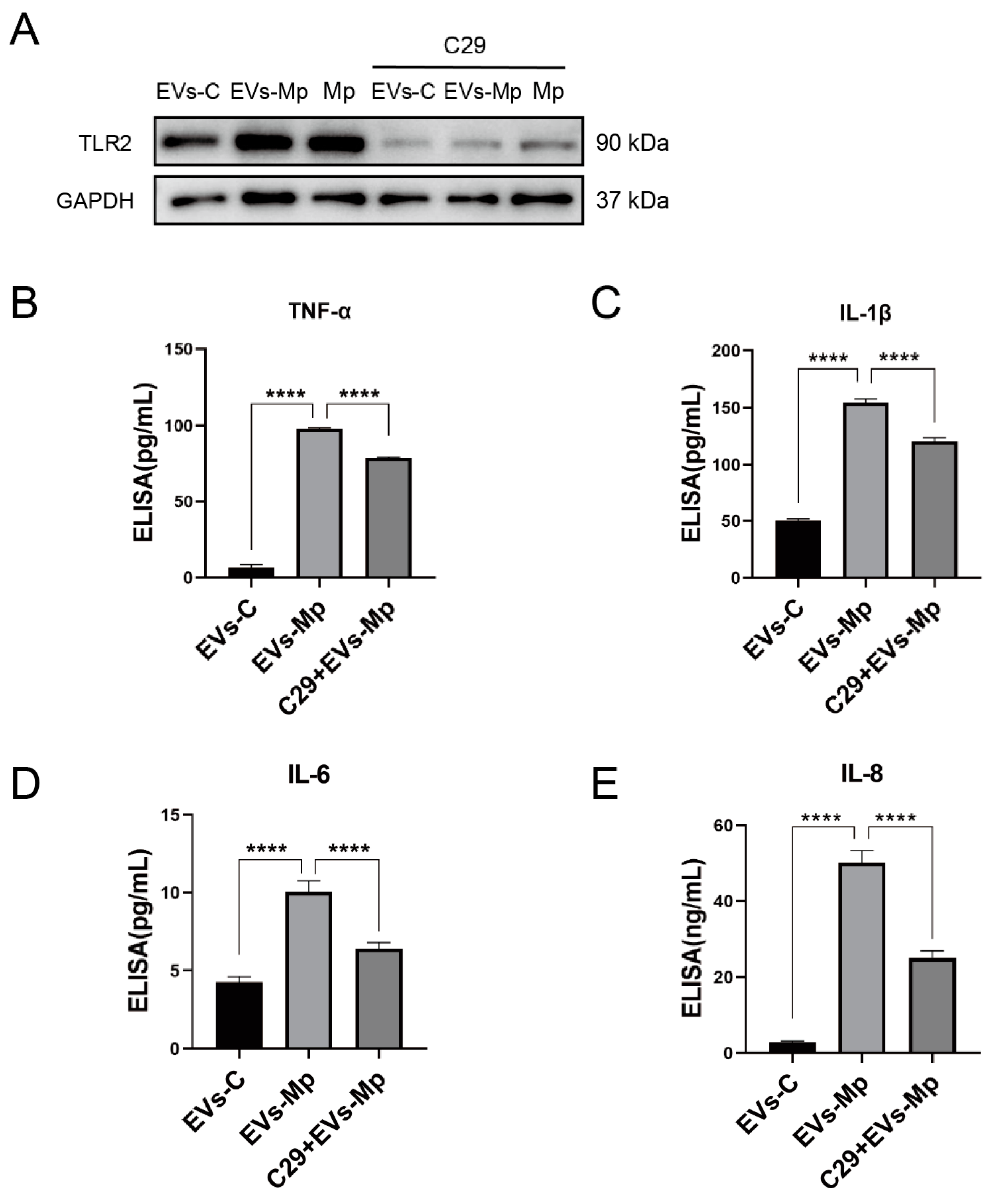 Ijms 24 08588 g007 Ijms 24 08588 g007