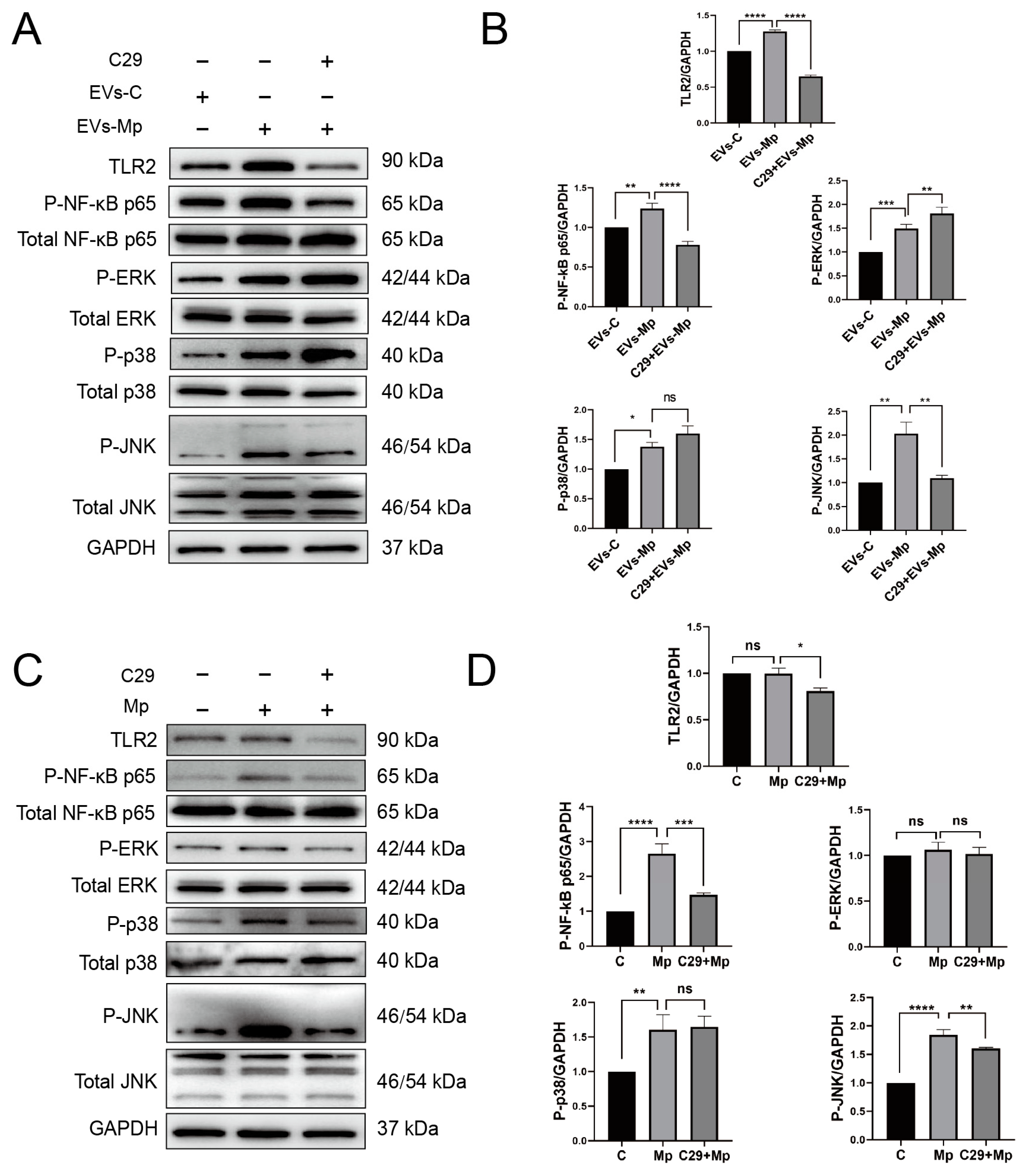 Ijms 24 08588 g009 Ijms 24 08588 g009