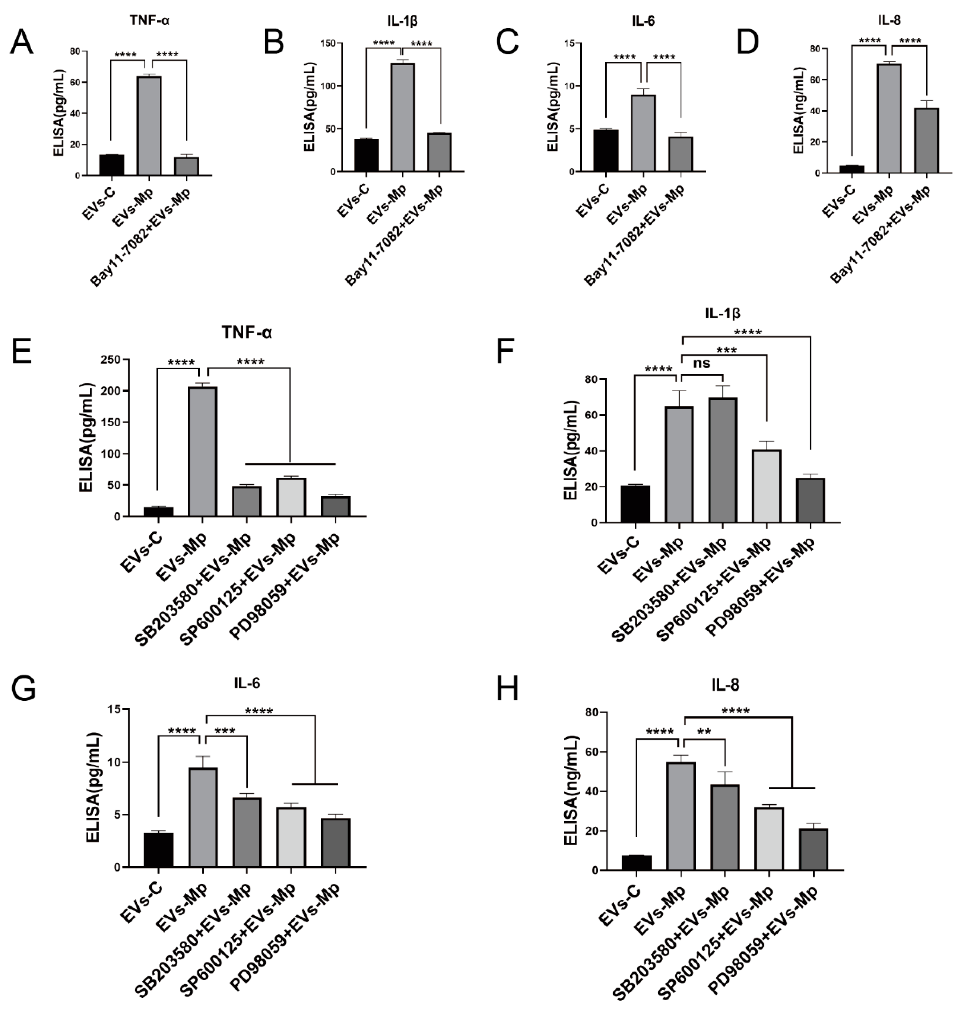 Ijms 24 08588 g010 Ijms 24 08588 g010