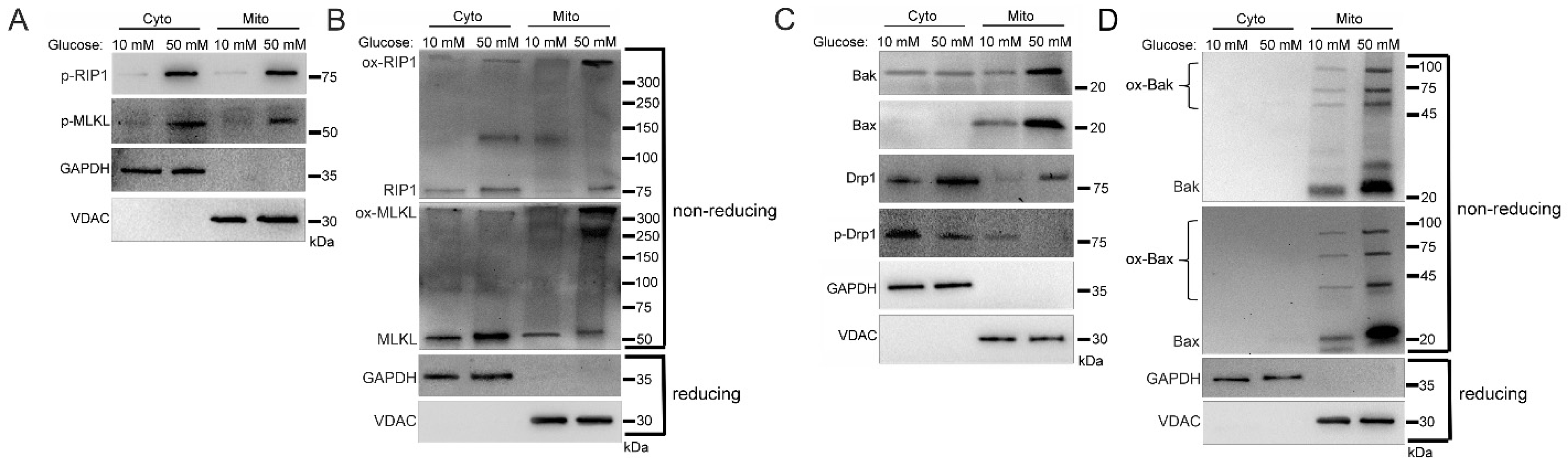 Ijms 24 08609 g002 Ijms 24 08609 g002