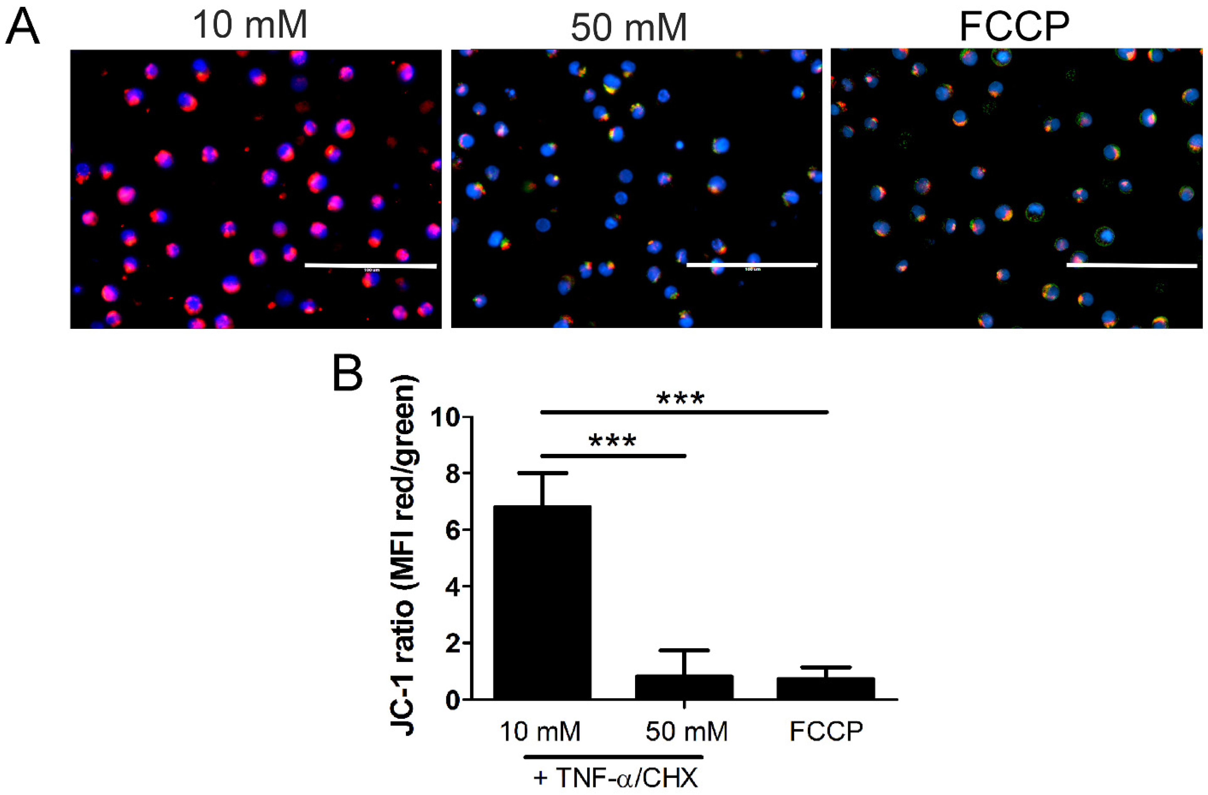 Ijms 24 08609 g009 Ijms 24 08609 g009