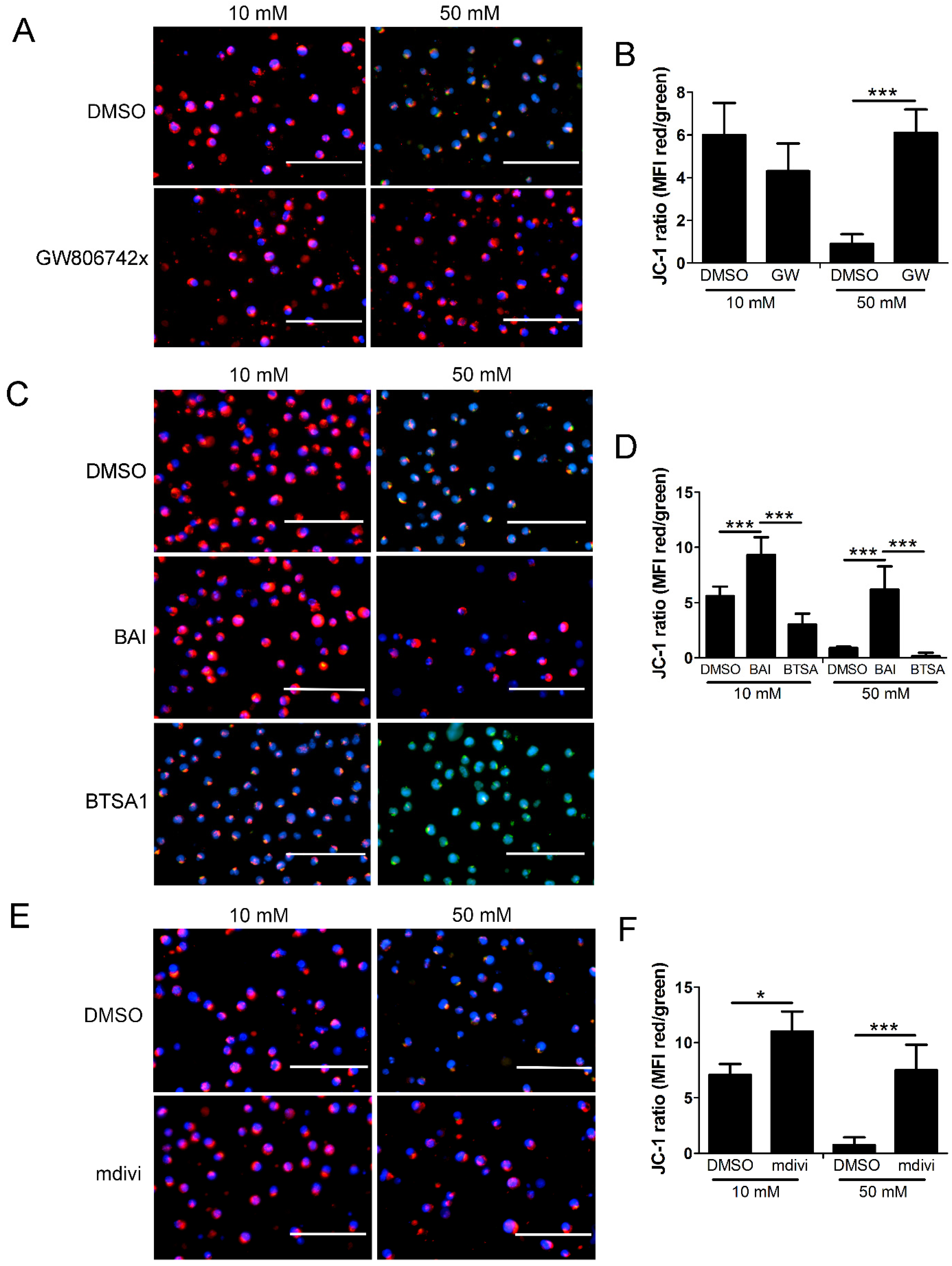 Ijms 24 08609 g010 Ijms 24 08609 g010