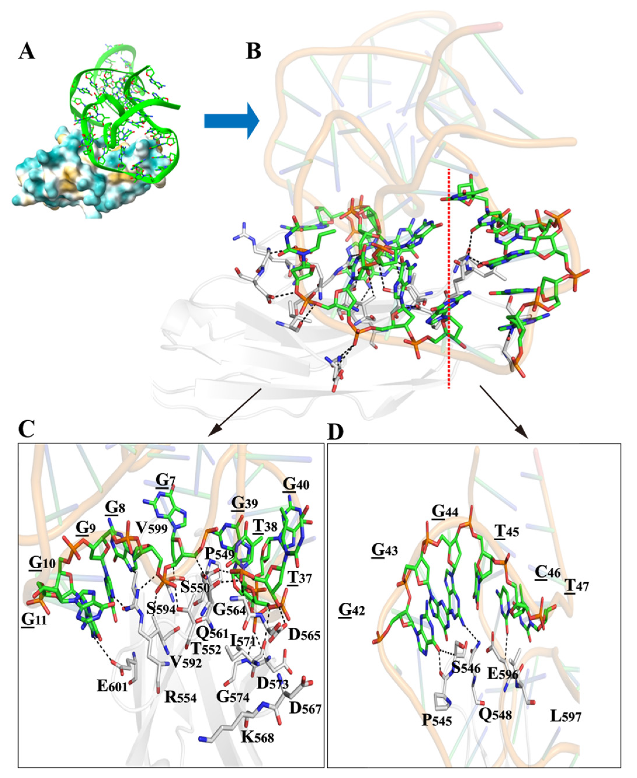 Ijms 24 08612 g005 Ijms 24 08612 g005