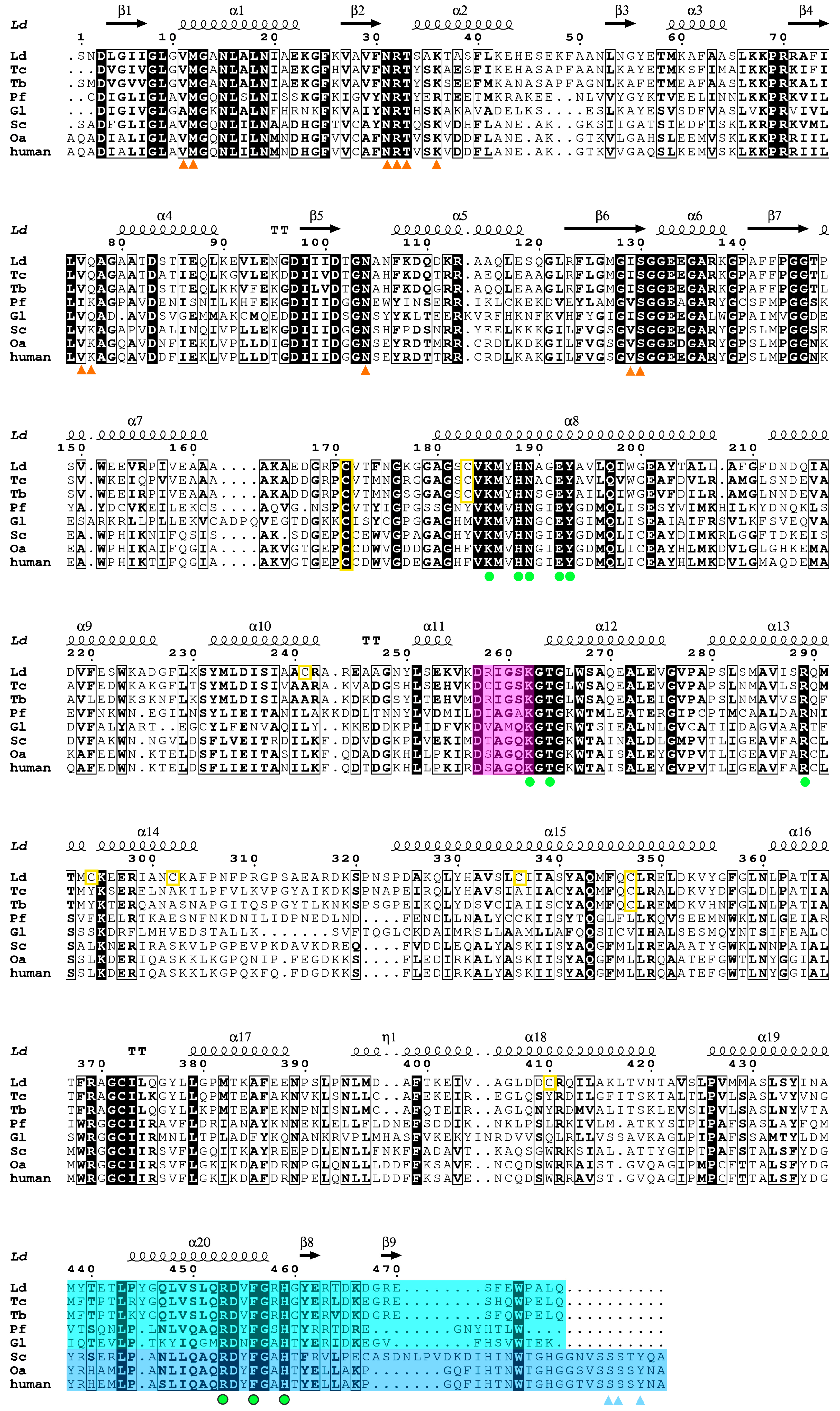 Ijms 24 08615 g002 Ijms 24 08615 g002