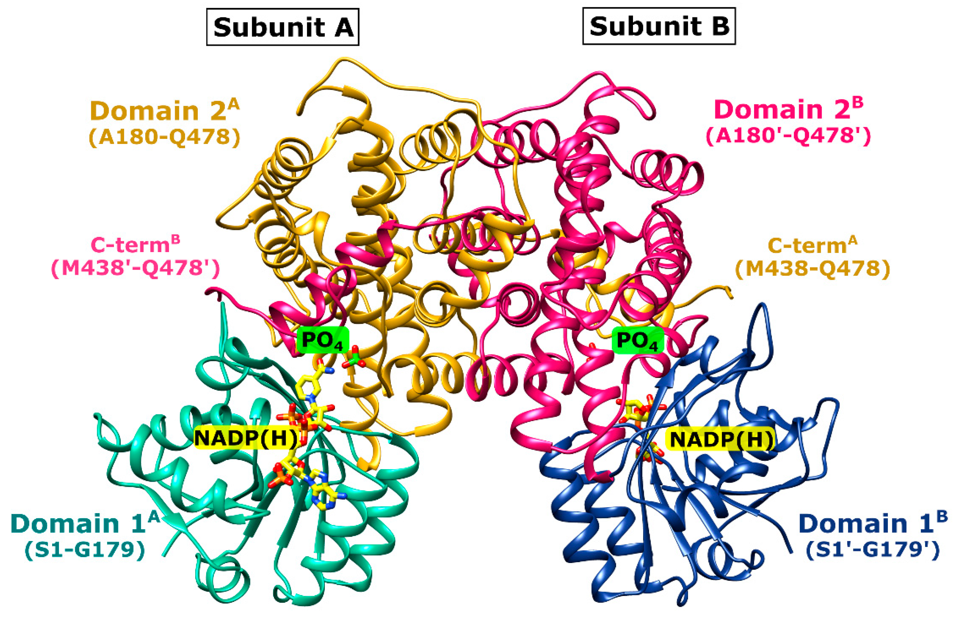 Ijms 24 08615 g003 Ijms 24 08615 g003