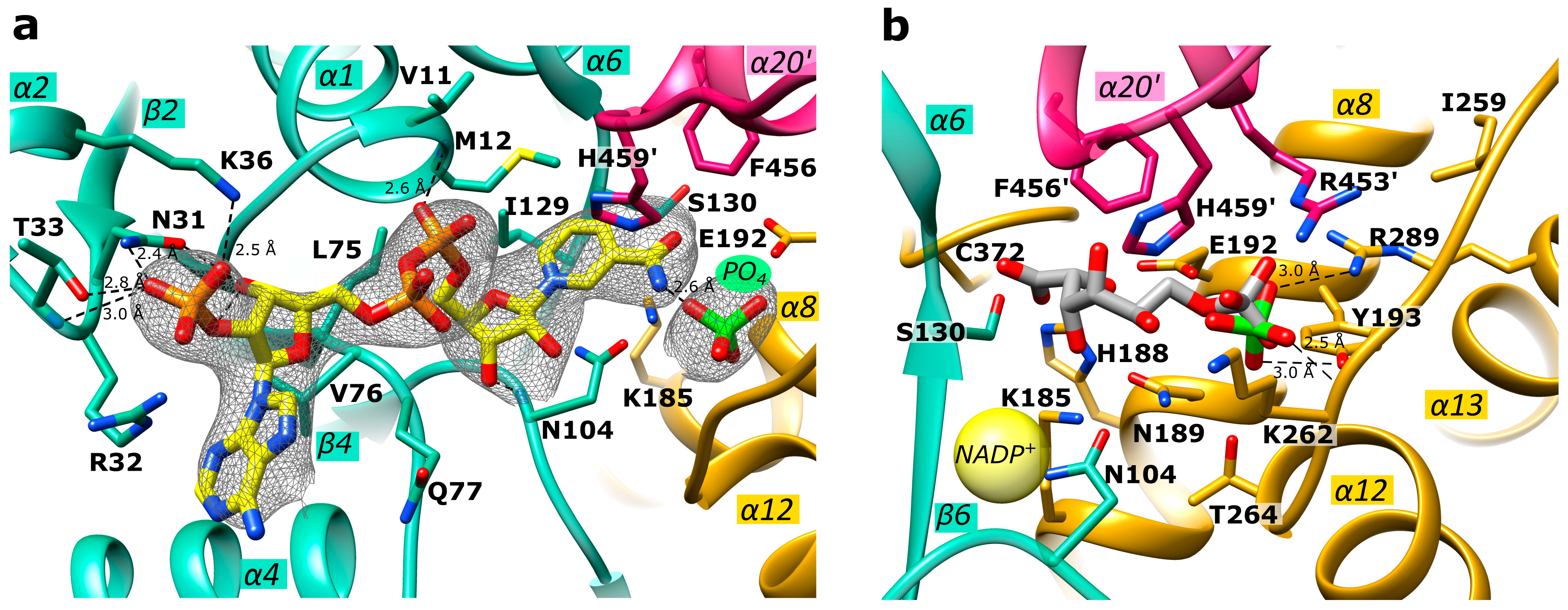 Ijms 24 08615 g004 Ijms 24 08615 g004
