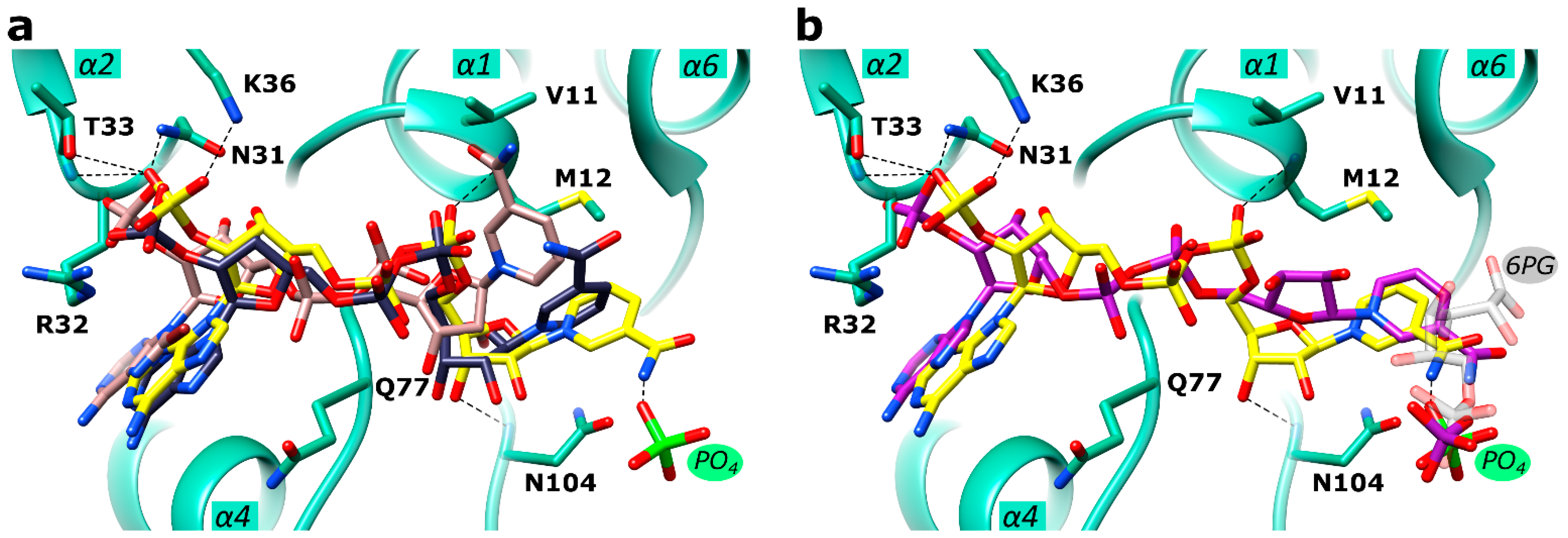 Ijms 24 08615 g005 Ijms 24 08615 g005