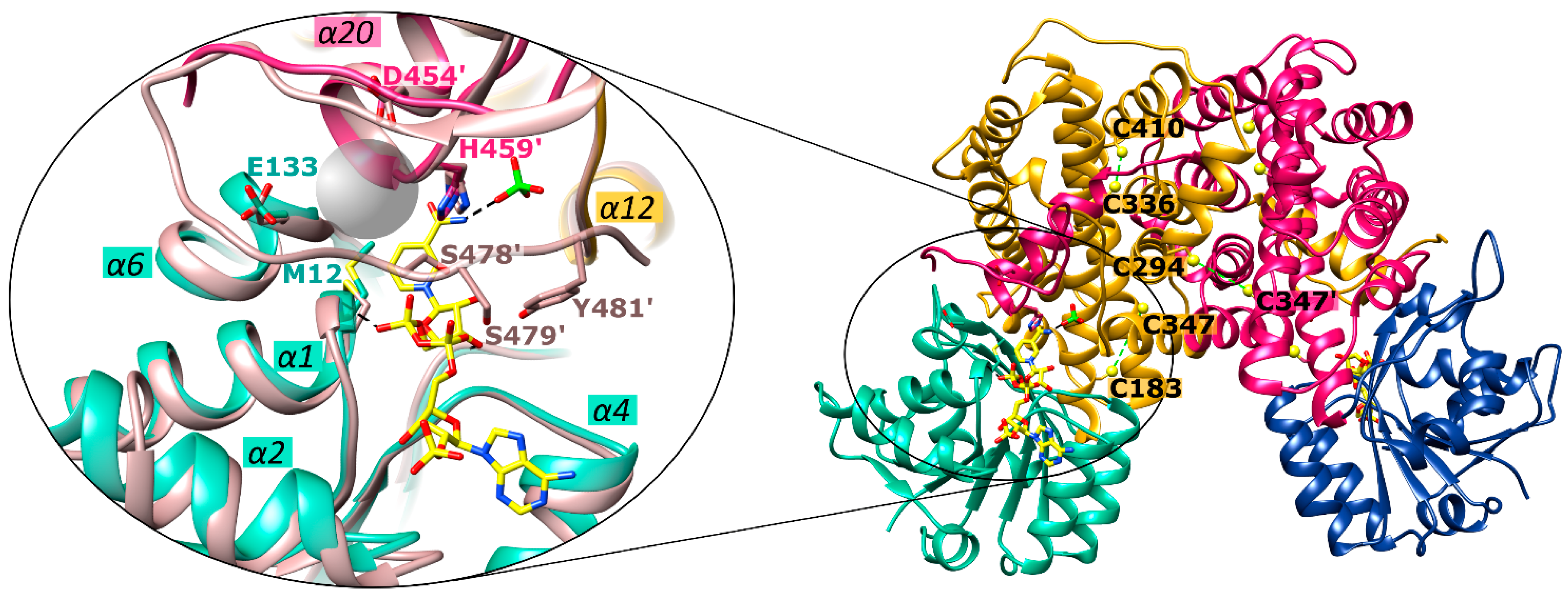 Ijms 24 08615 g009 Ijms 24 08615 g009