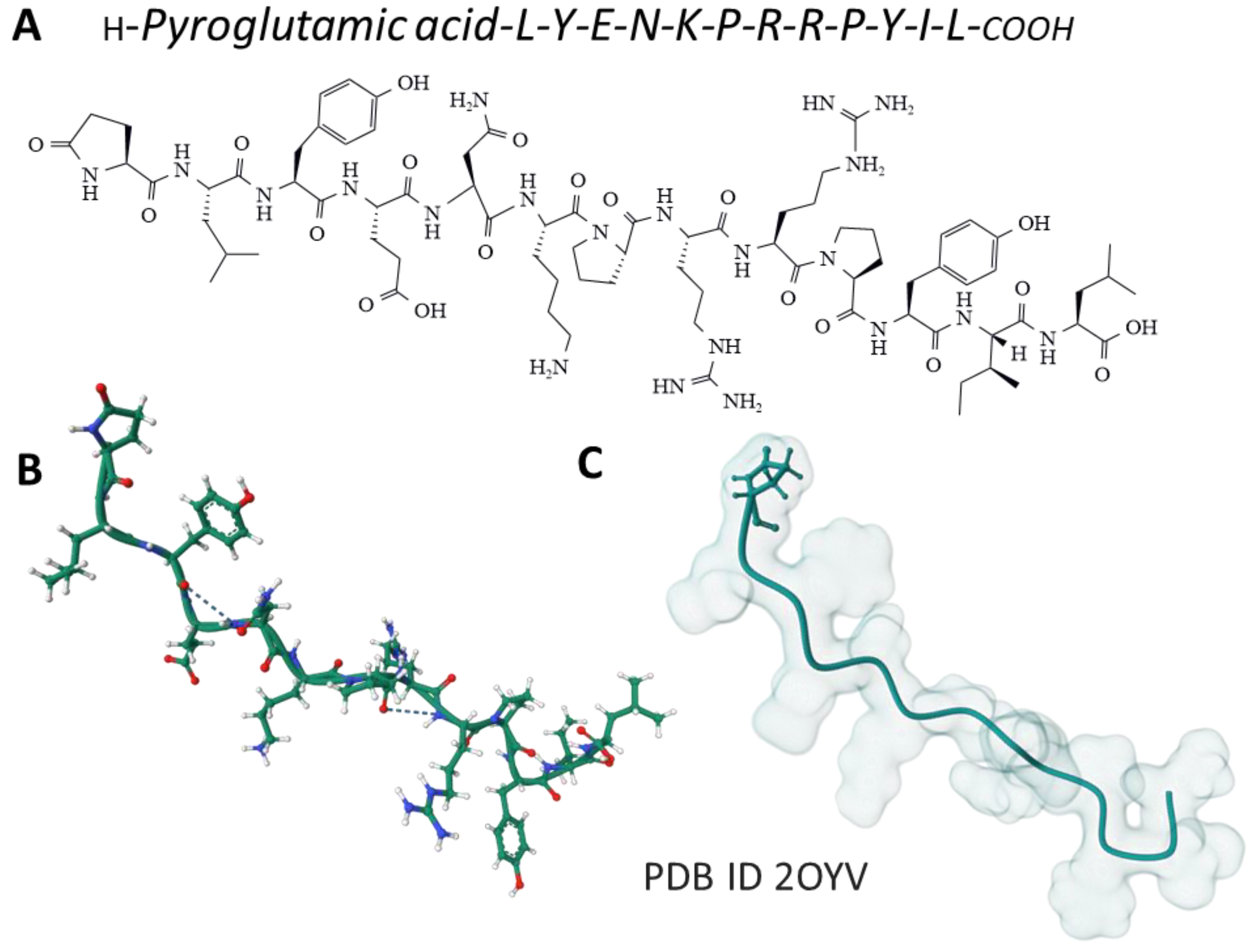 Ijms 24 08656 g002 Ijms 24 08656 g002