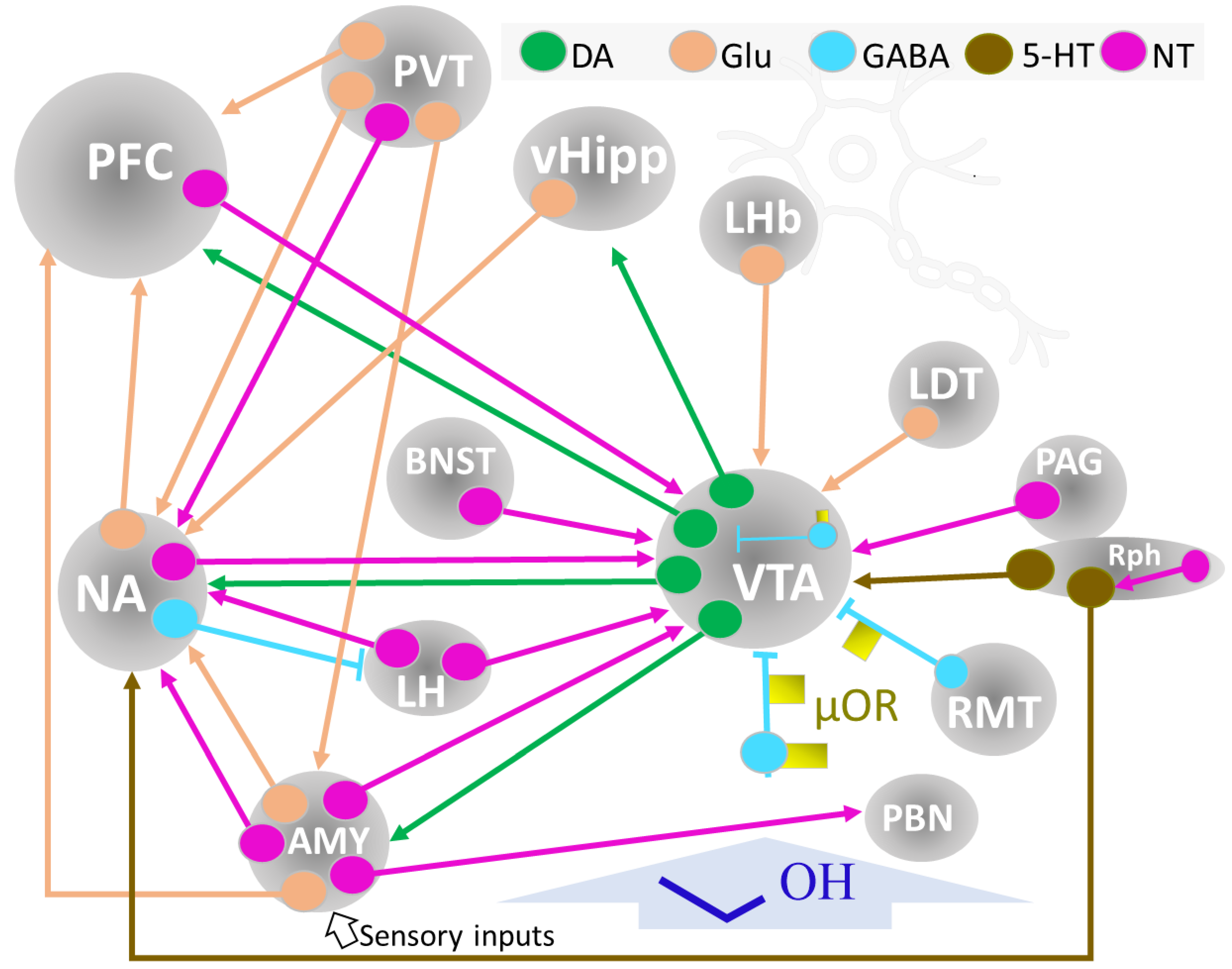 Ijms 24 08656 g007 Ijms 24 08656 g007