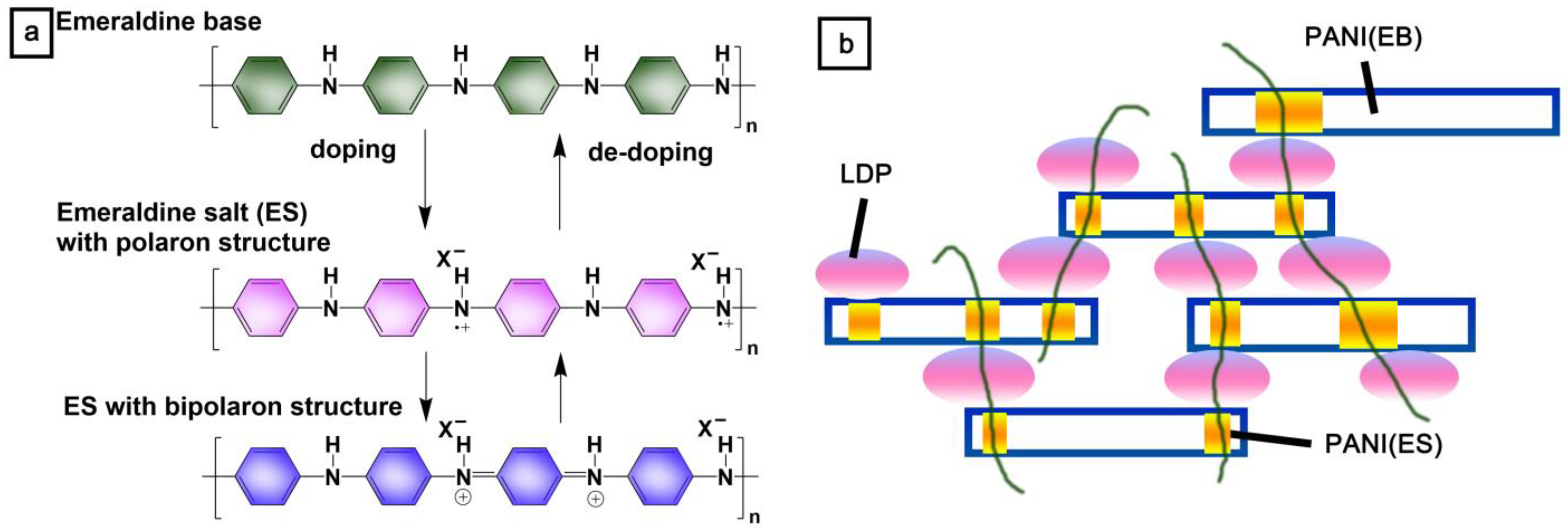 Ijms 24 08661 g007 Ijms 24 08661 g007