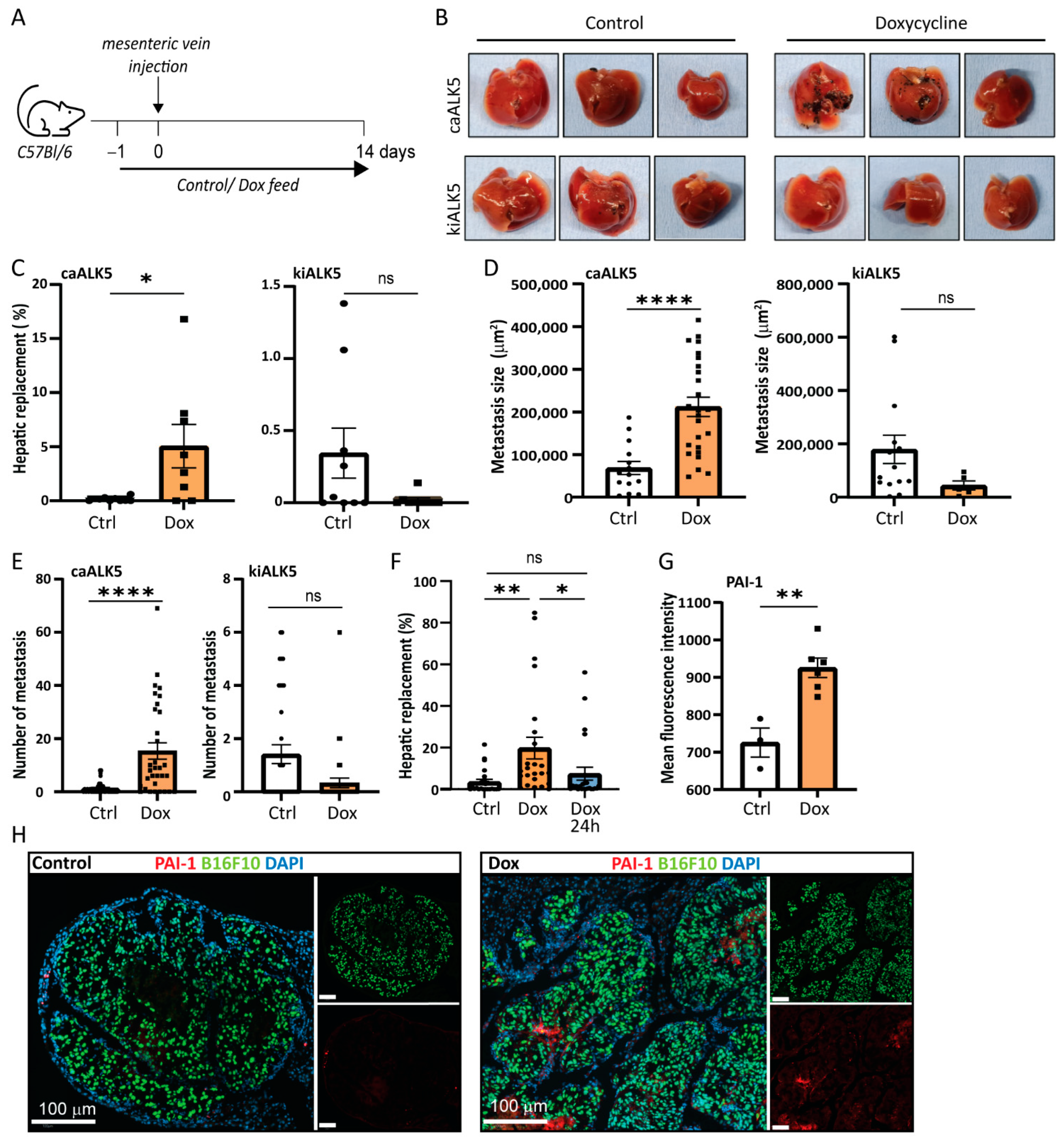Ijms 24 08676 g003 Ijms 24 08676 g003