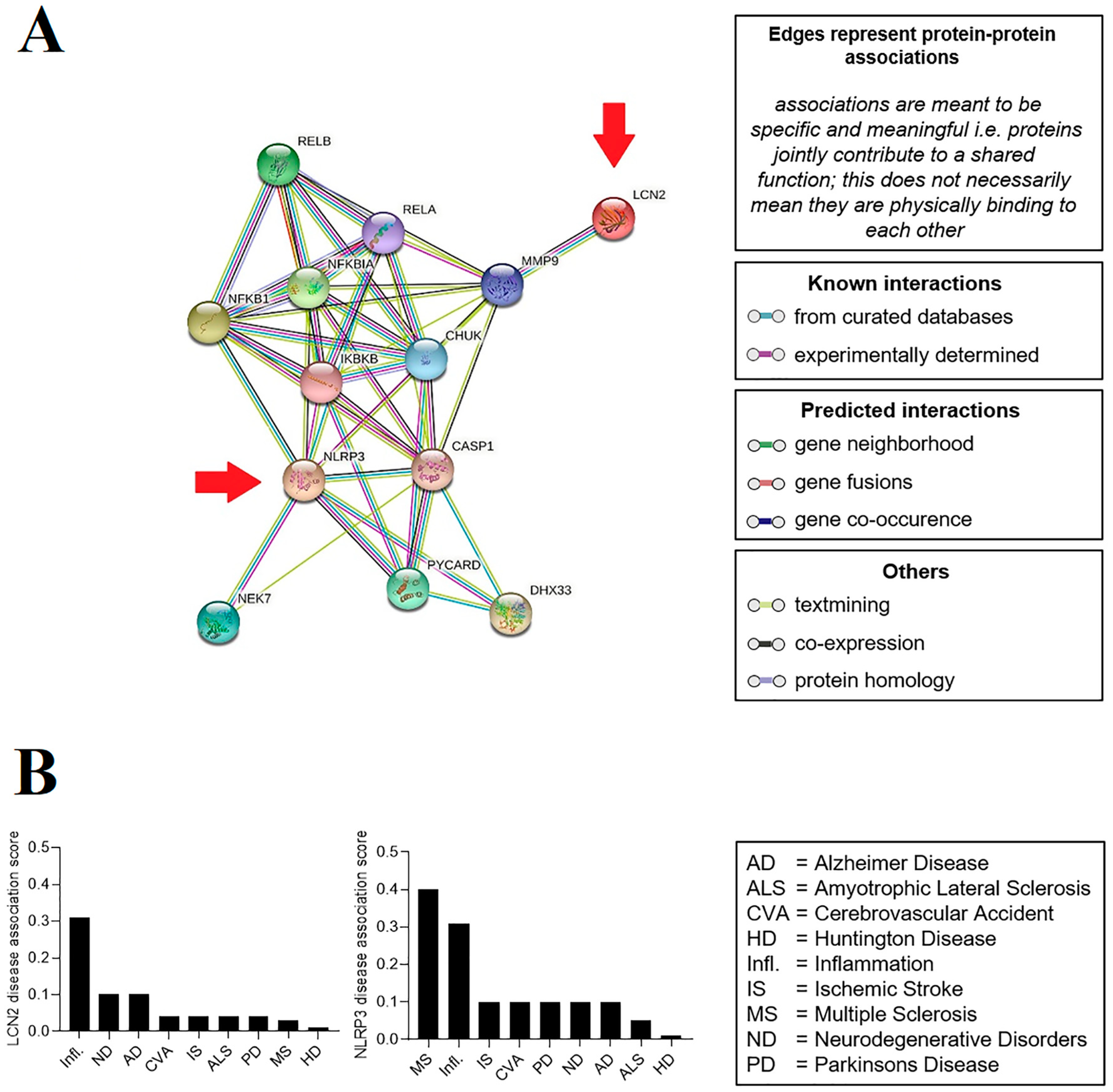Ijms 24 08689 g001 Ijms 24 08689 g001