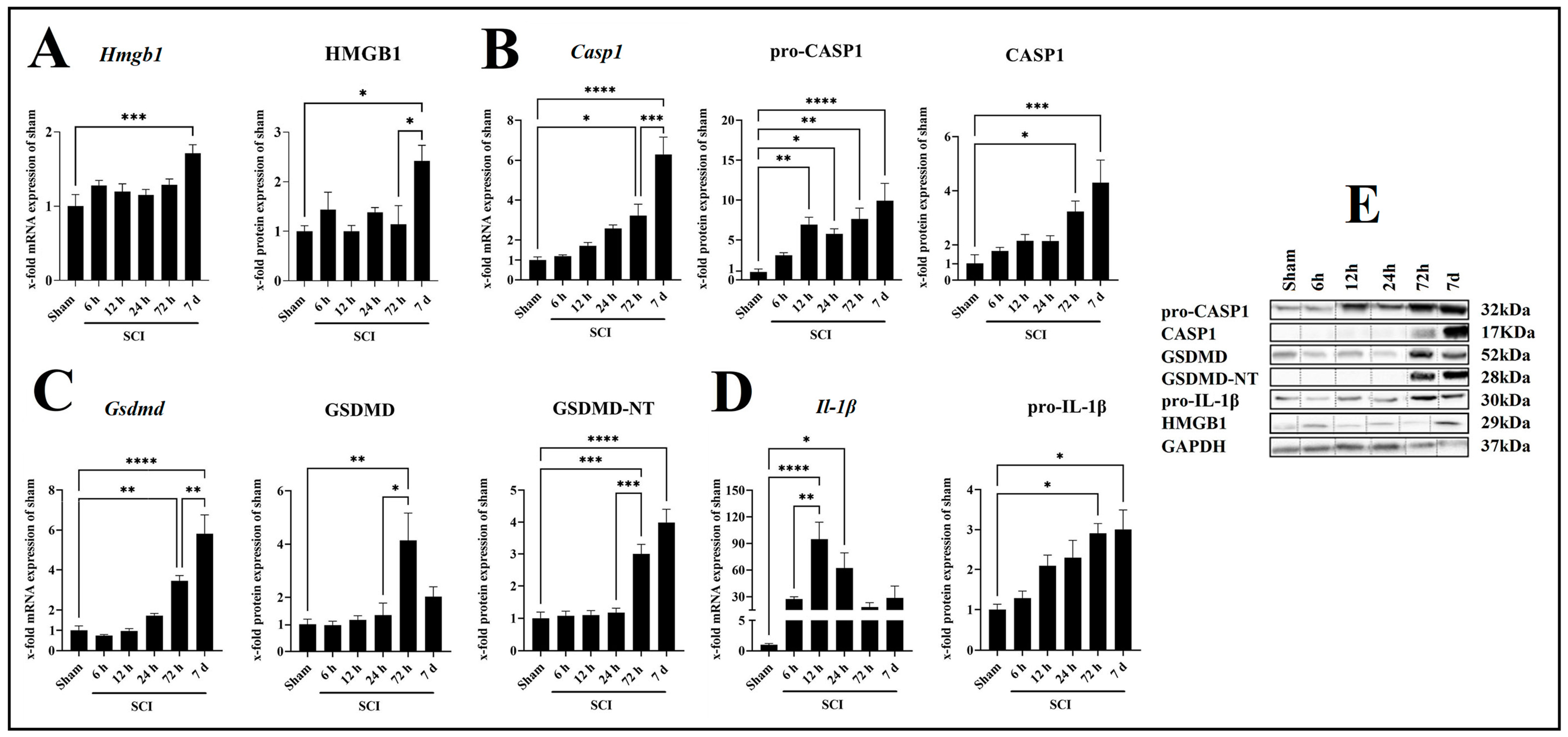 Ijms 24 08689 g002 Ijms 24 08689 g002
