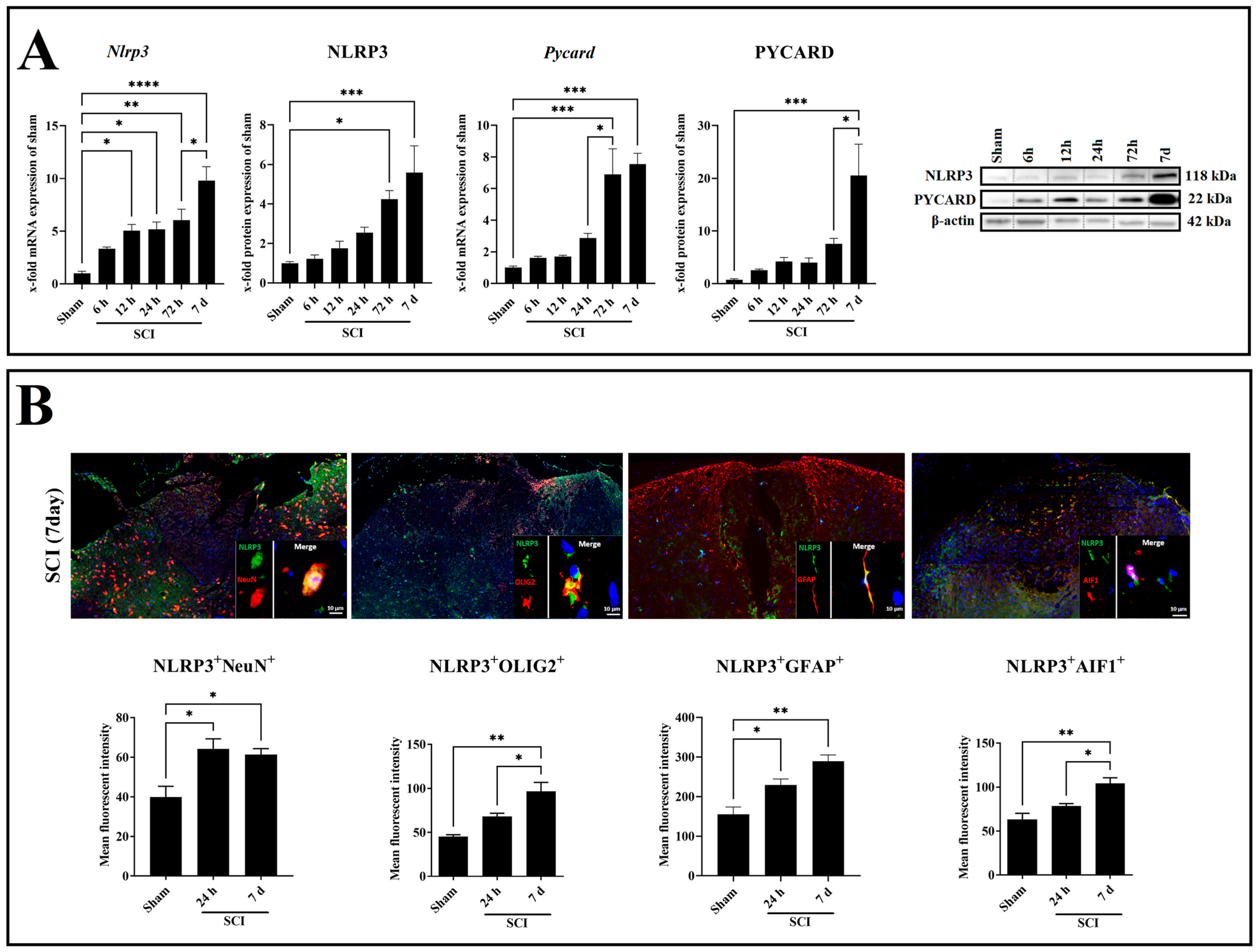 Ijms 24 08689 g003 Ijms 24 08689 g003