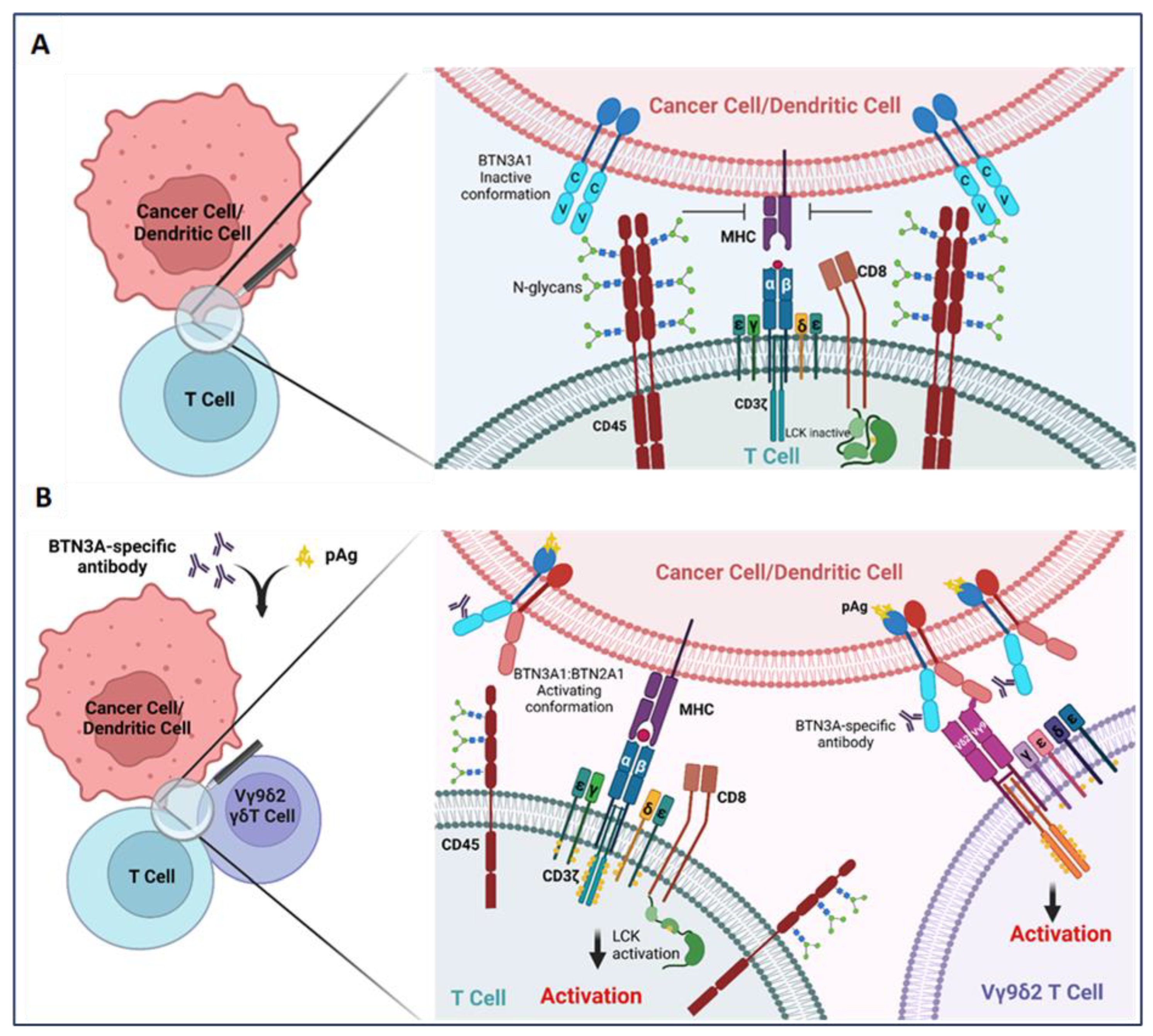 Ijms 24 08722 g001 Ijms 24 08722 g001