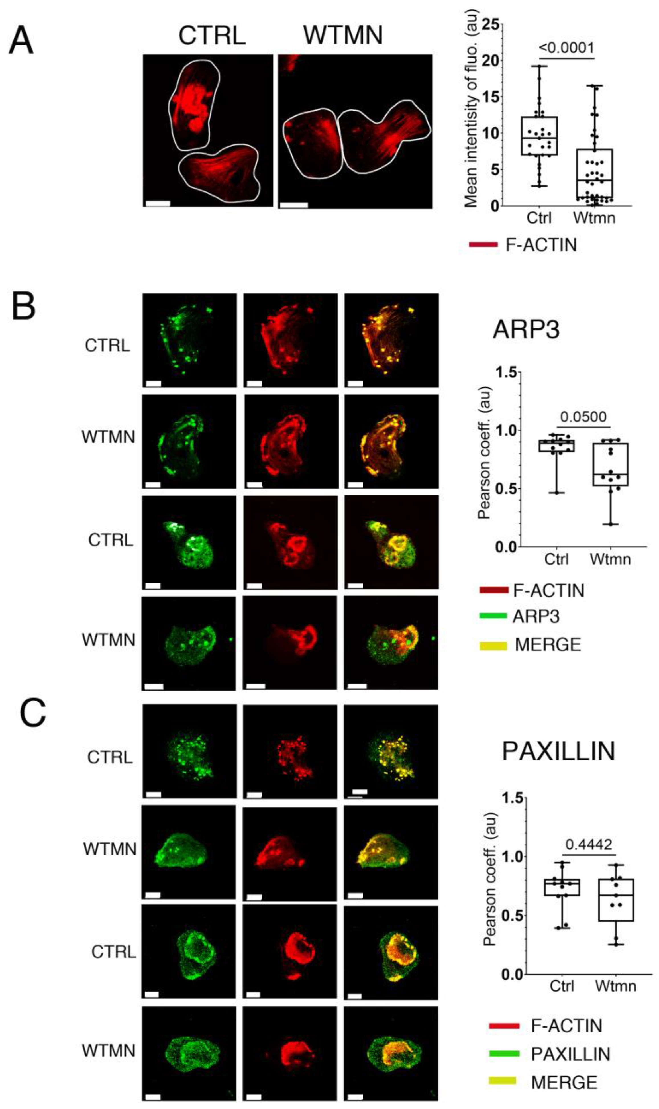 Ijms 24 08726 g007 Ijms 24 08726 g007