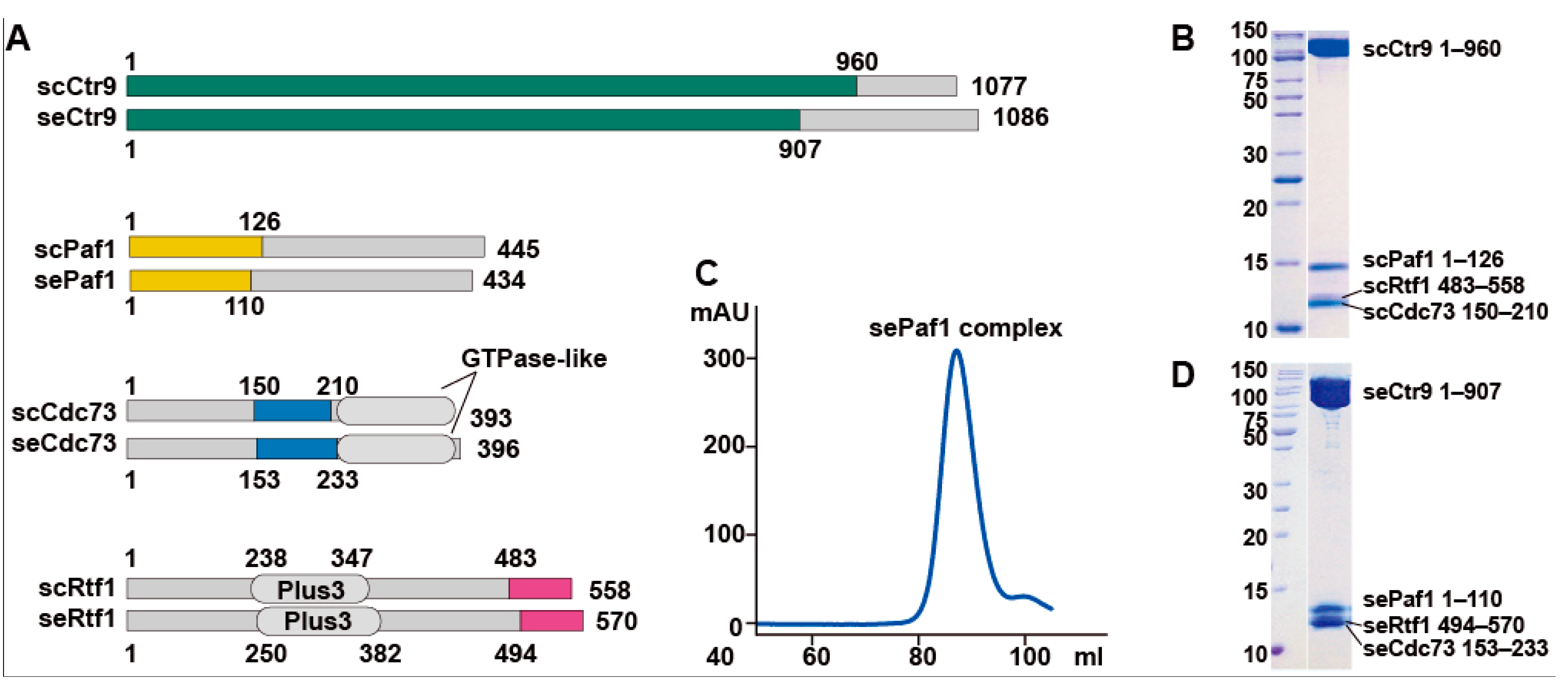 Ijms 24 08730 g001 Ijms 24 08730 g001
