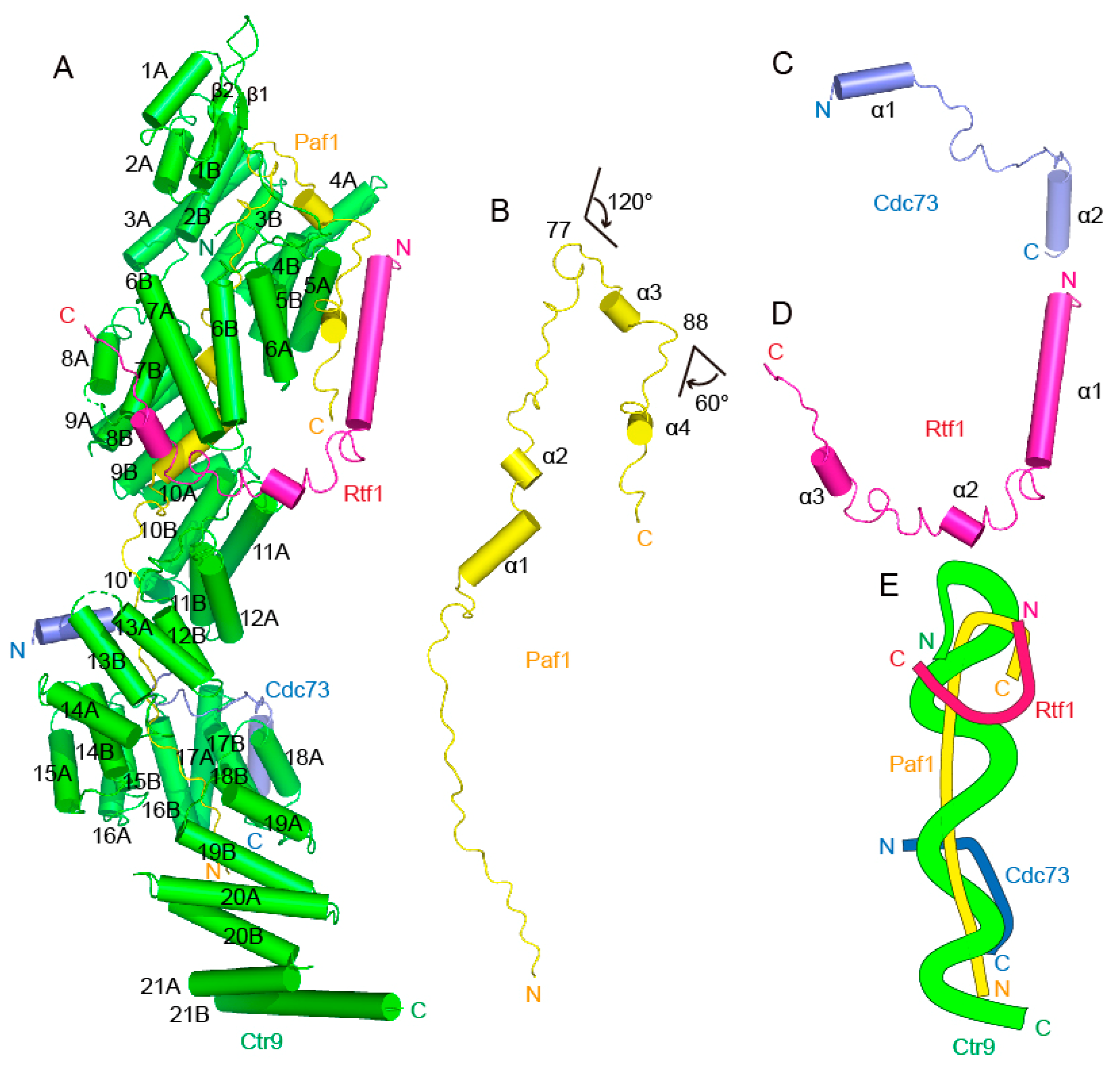 Ijms 24 08730 g002 Ijms 24 08730 g002