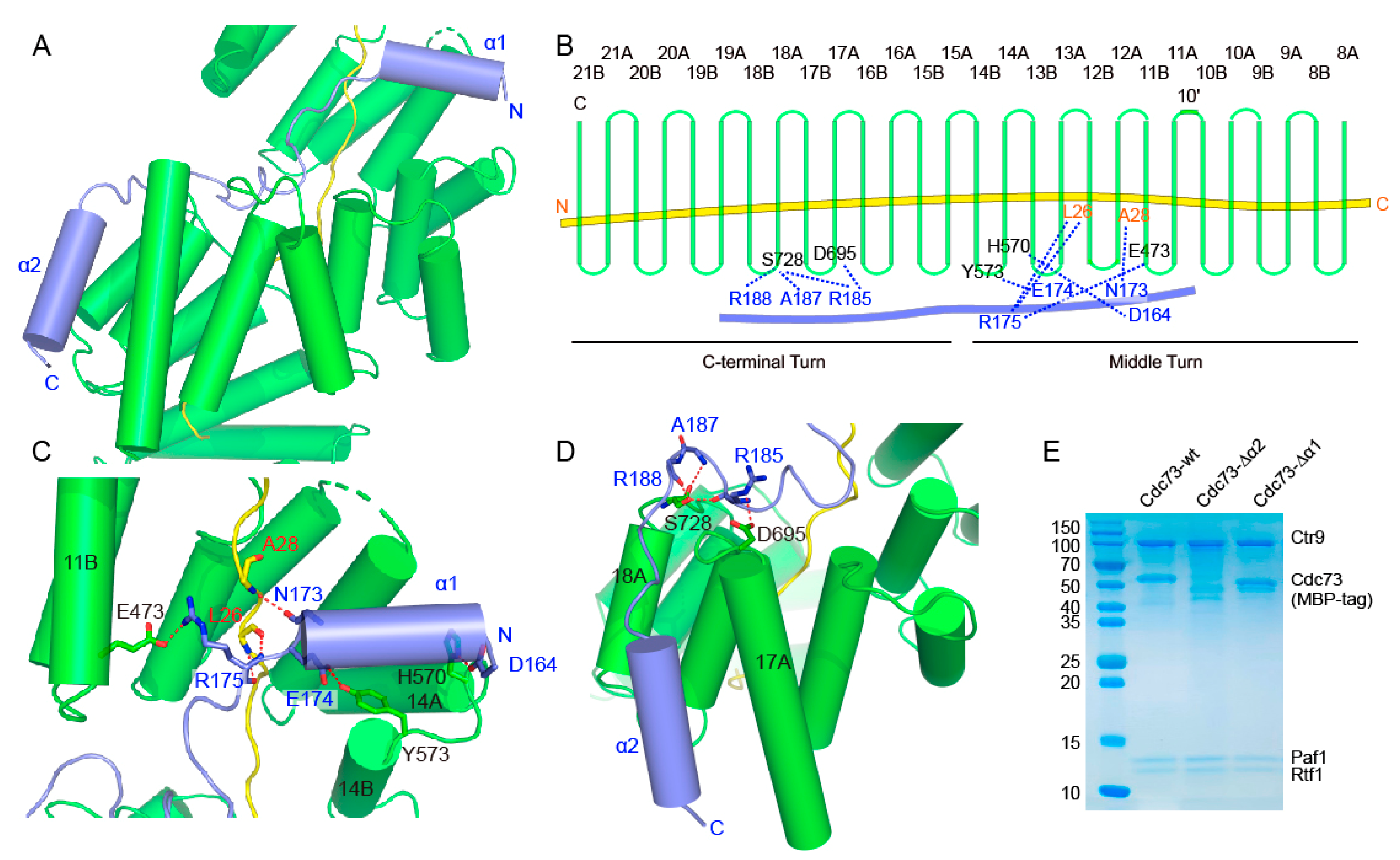 Ijms 24 08730 g004 Ijms 24 08730 g004