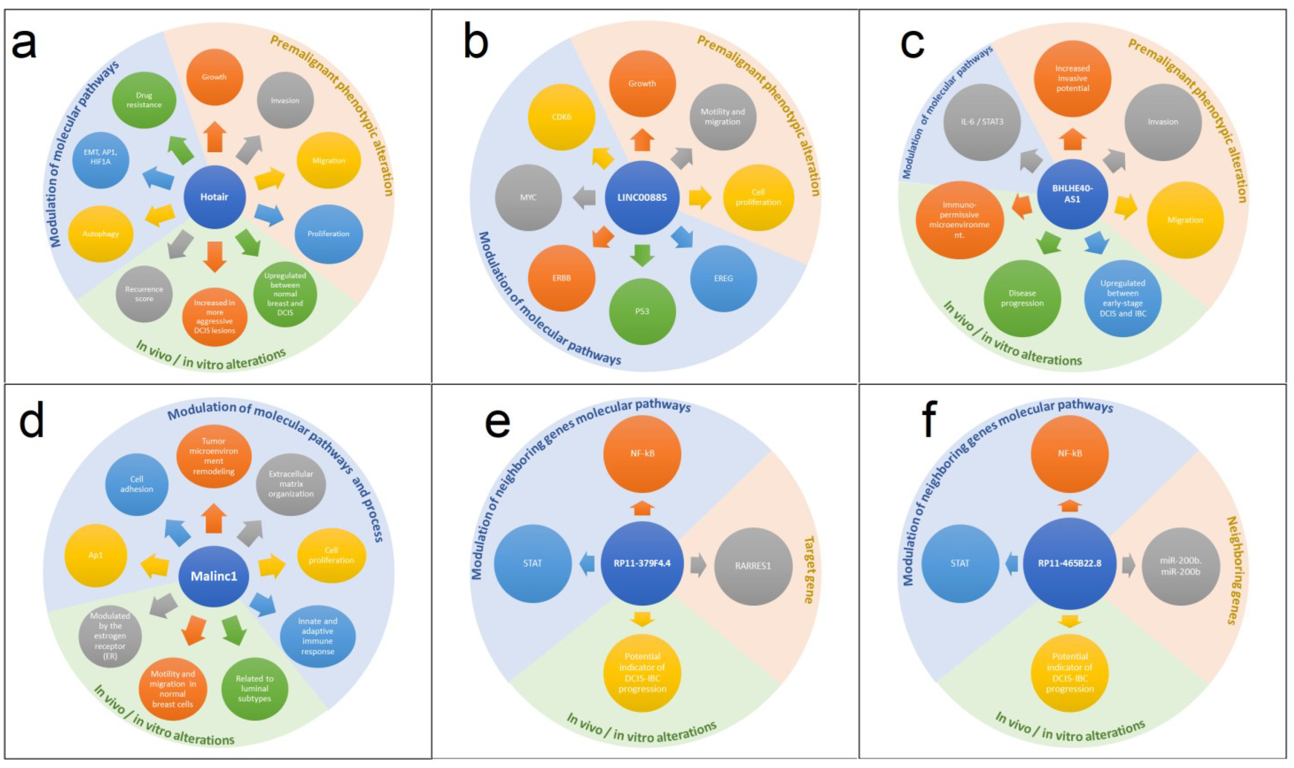 Ijms 24 08733 g001 Ijms 24 08733 g001