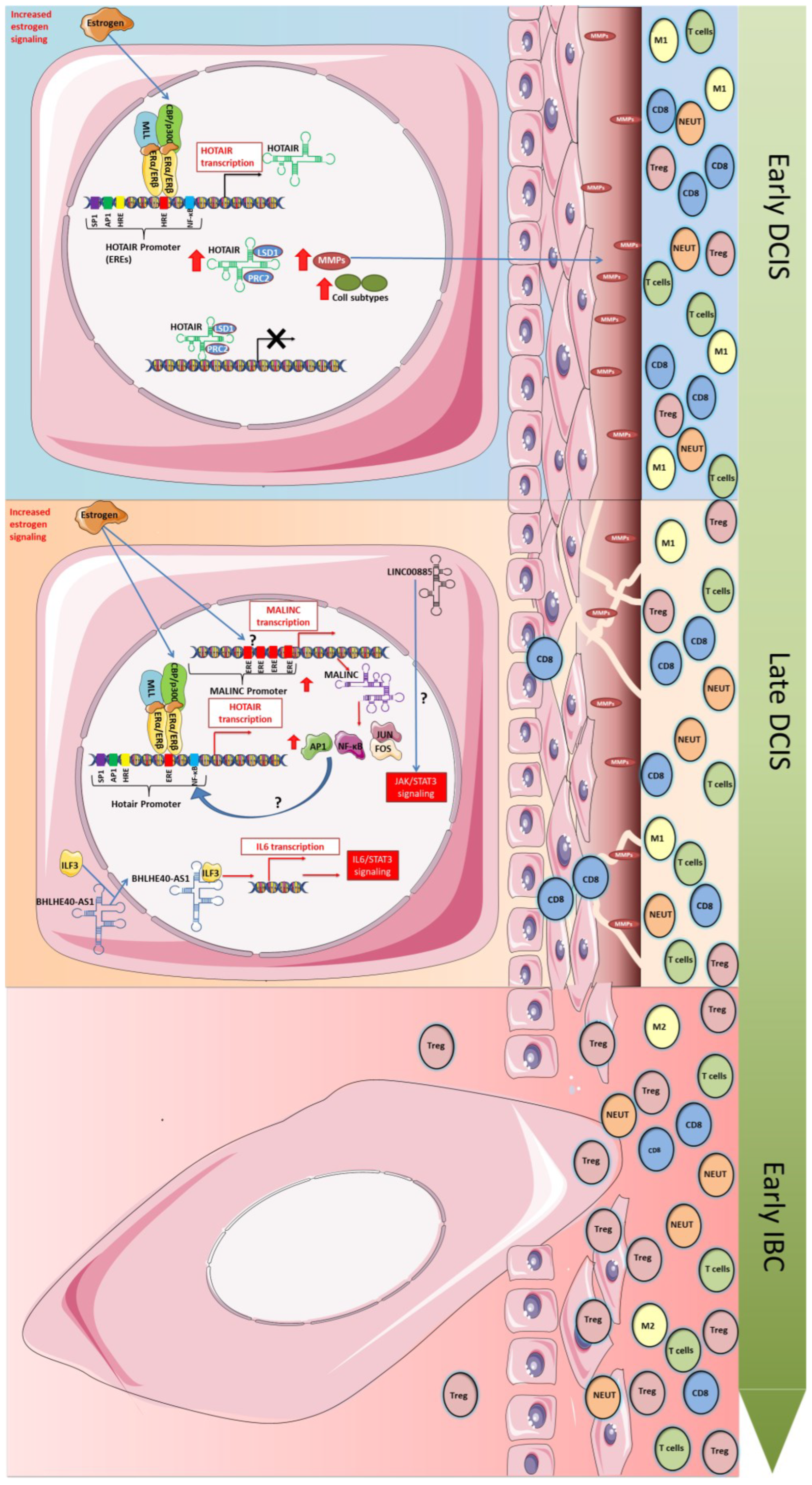 Ijms 24 08733 g002 Ijms 24 08733 g002
