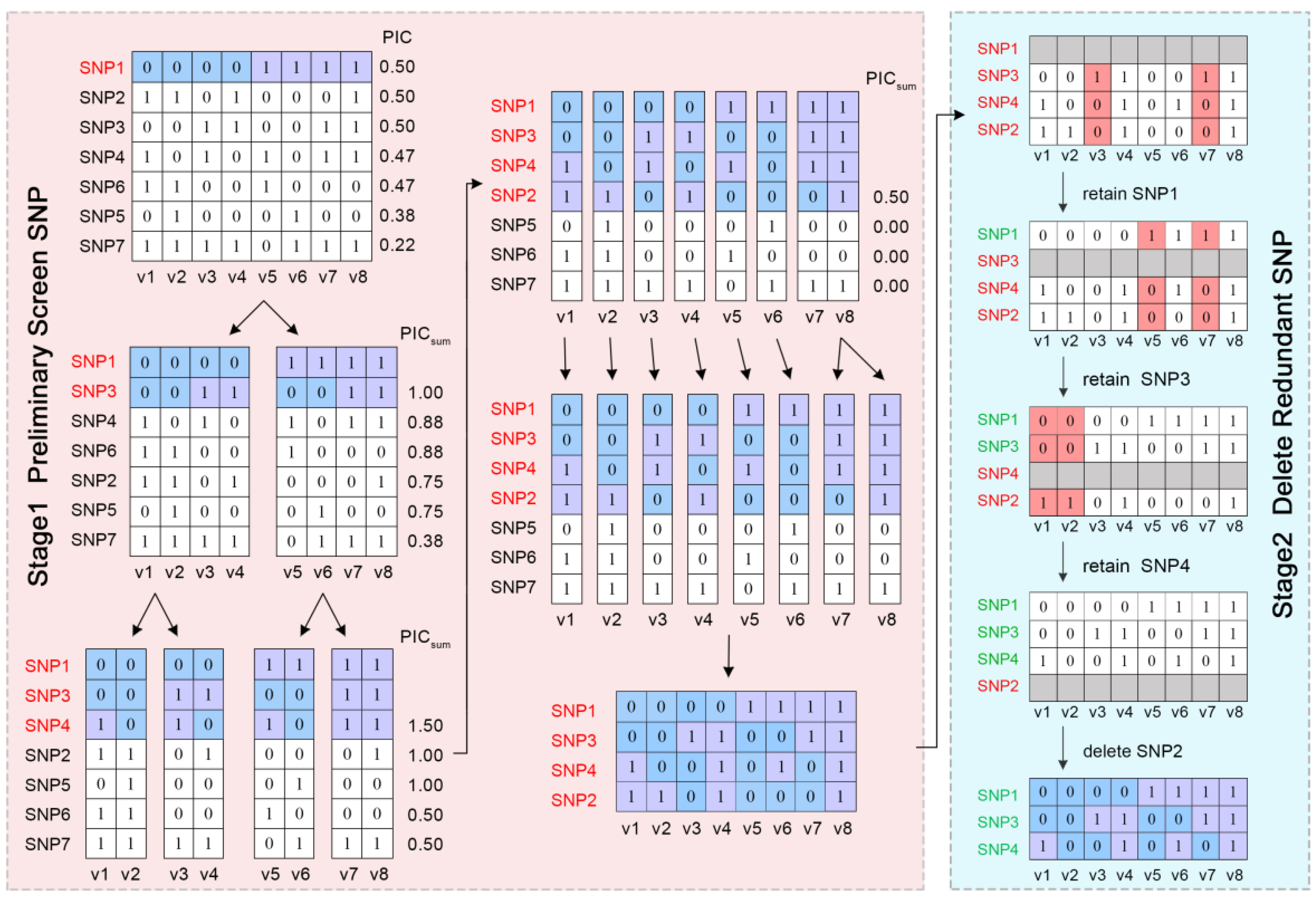 Ijms 24 08742 g007 Ijms 24 08742 g007