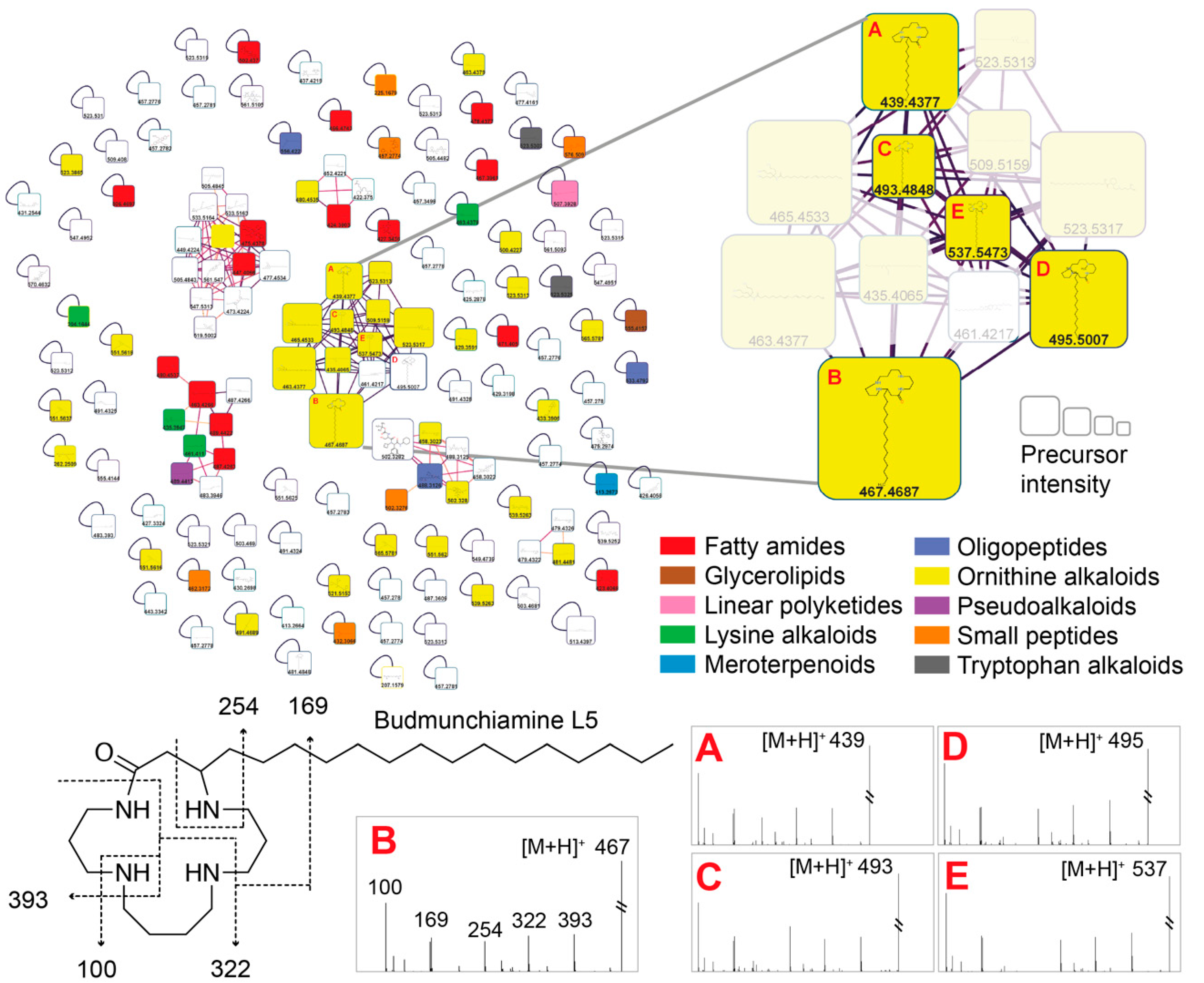 Ijms 24 08790 g002 Ijms 24 08790 g002