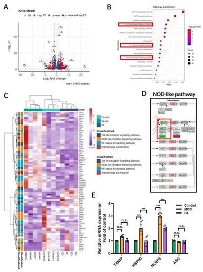 IJMS | Free Full-Text | Isoquercitrin Attenuates Steatohepatitis by ...