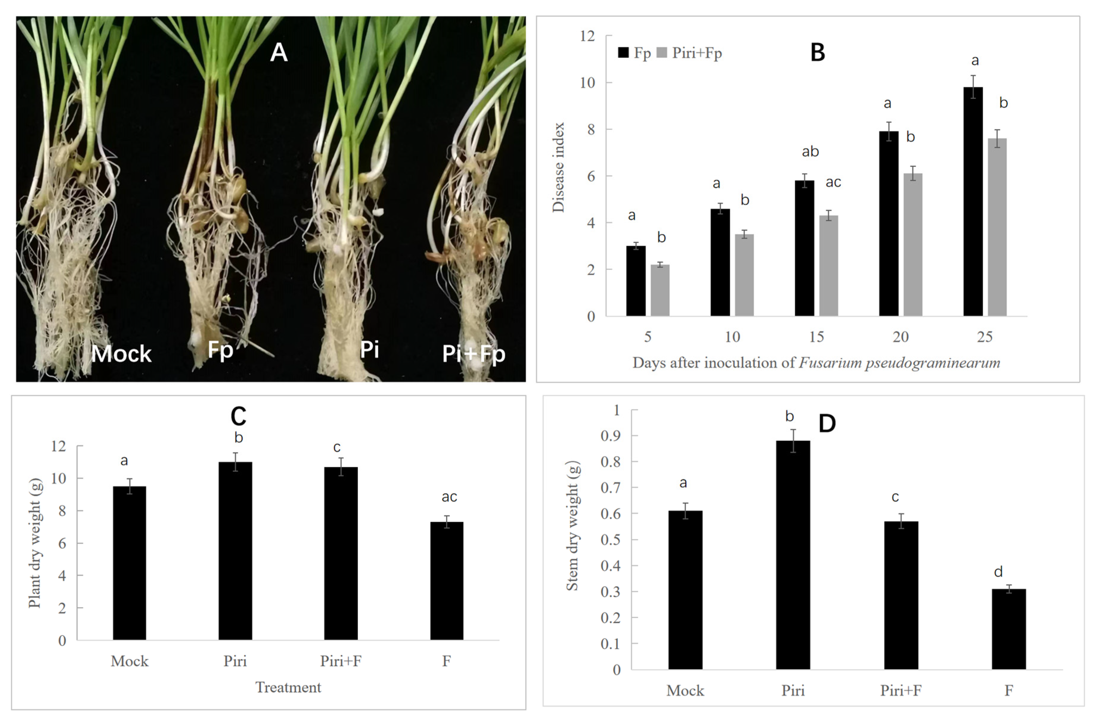 Ijms 24 08797 g002 Ijms 24 08797 g002