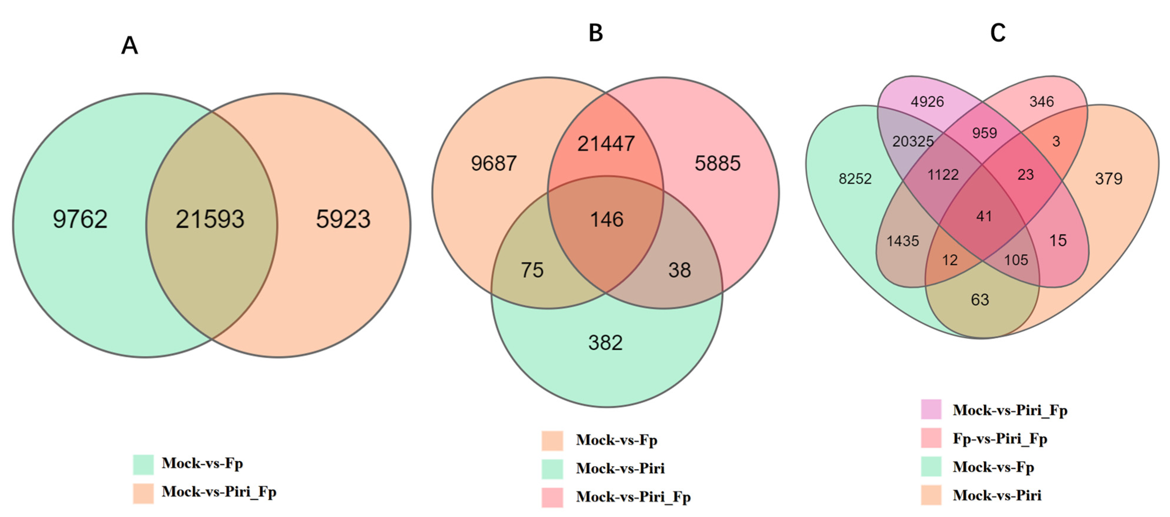 Ijms 24 08797 g004 Ijms 24 08797 g004