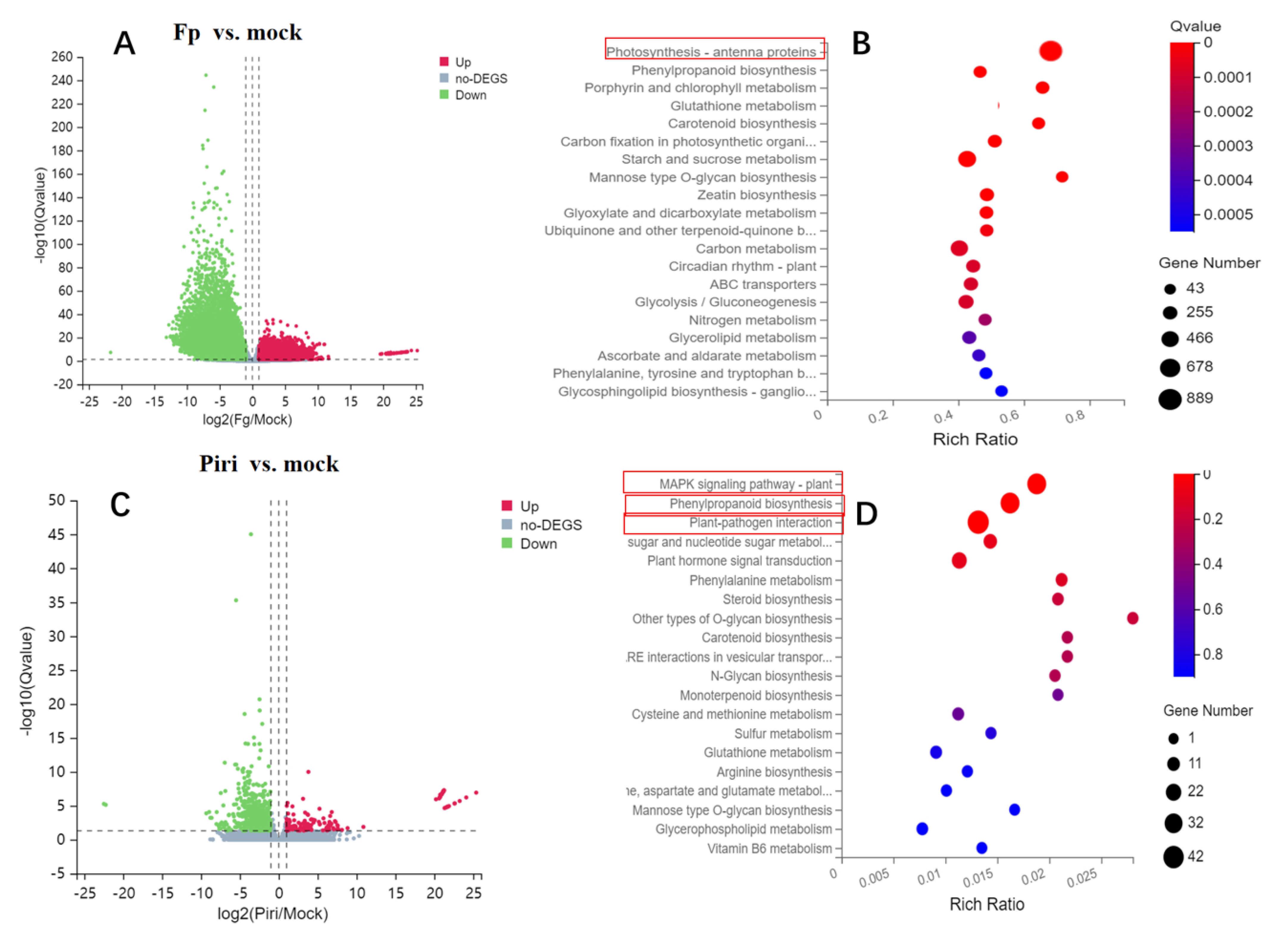 Ijms 24 08797 g005a Ijms 24 08797 g005a
