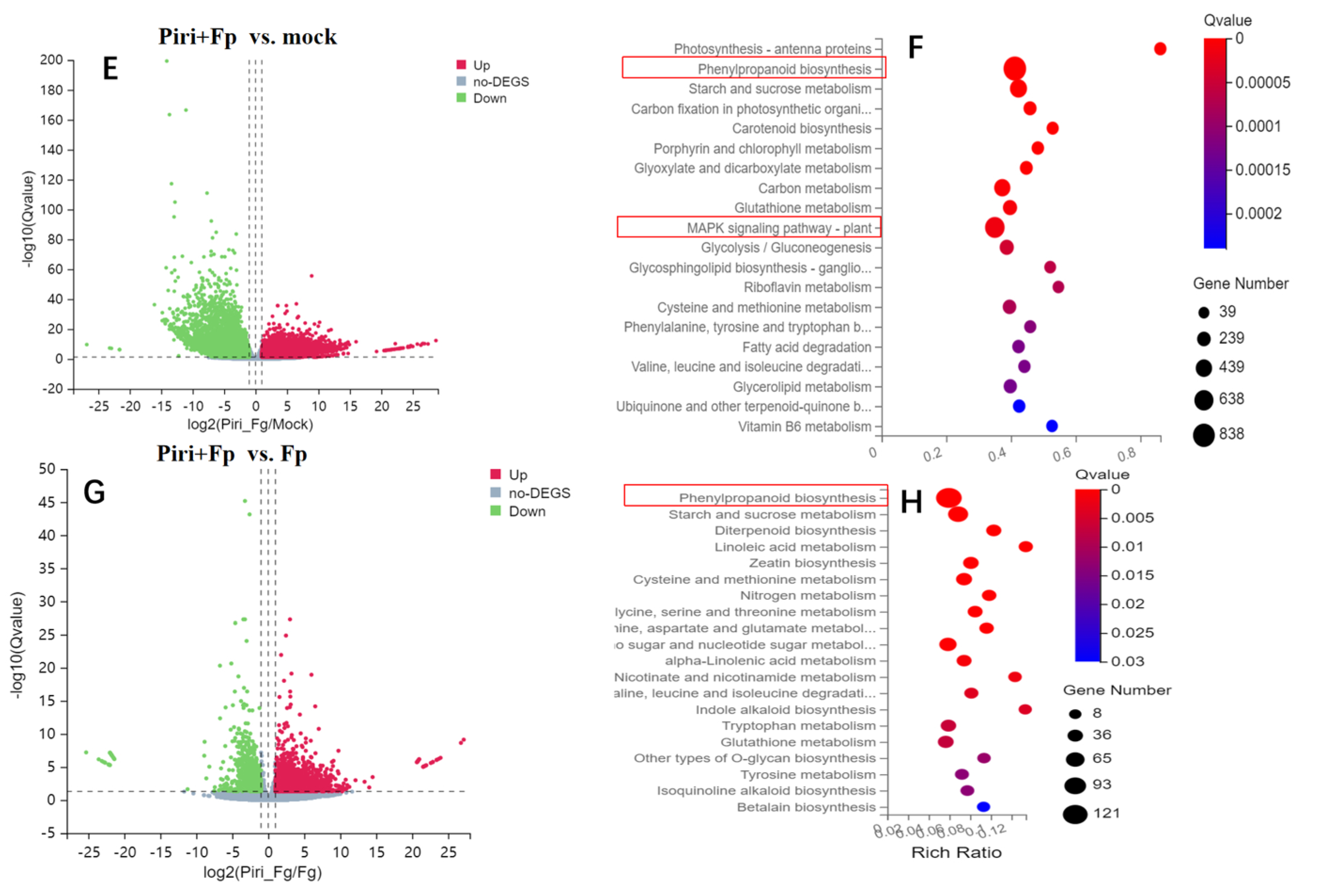 Ijms 24 08797 g005b Ijms 24 08797 g005b