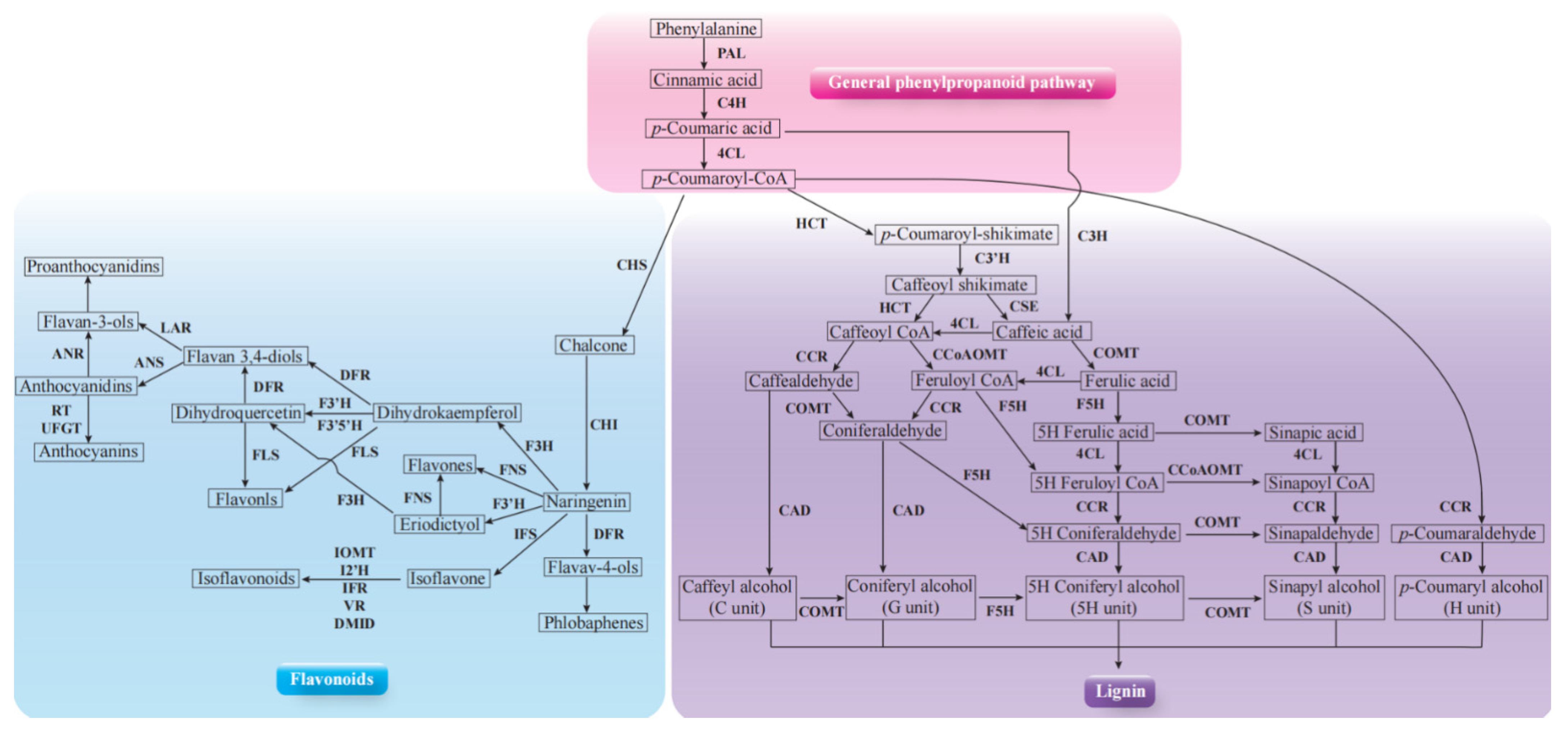 Ijms 24 08797 g006 Ijms 24 08797 g006