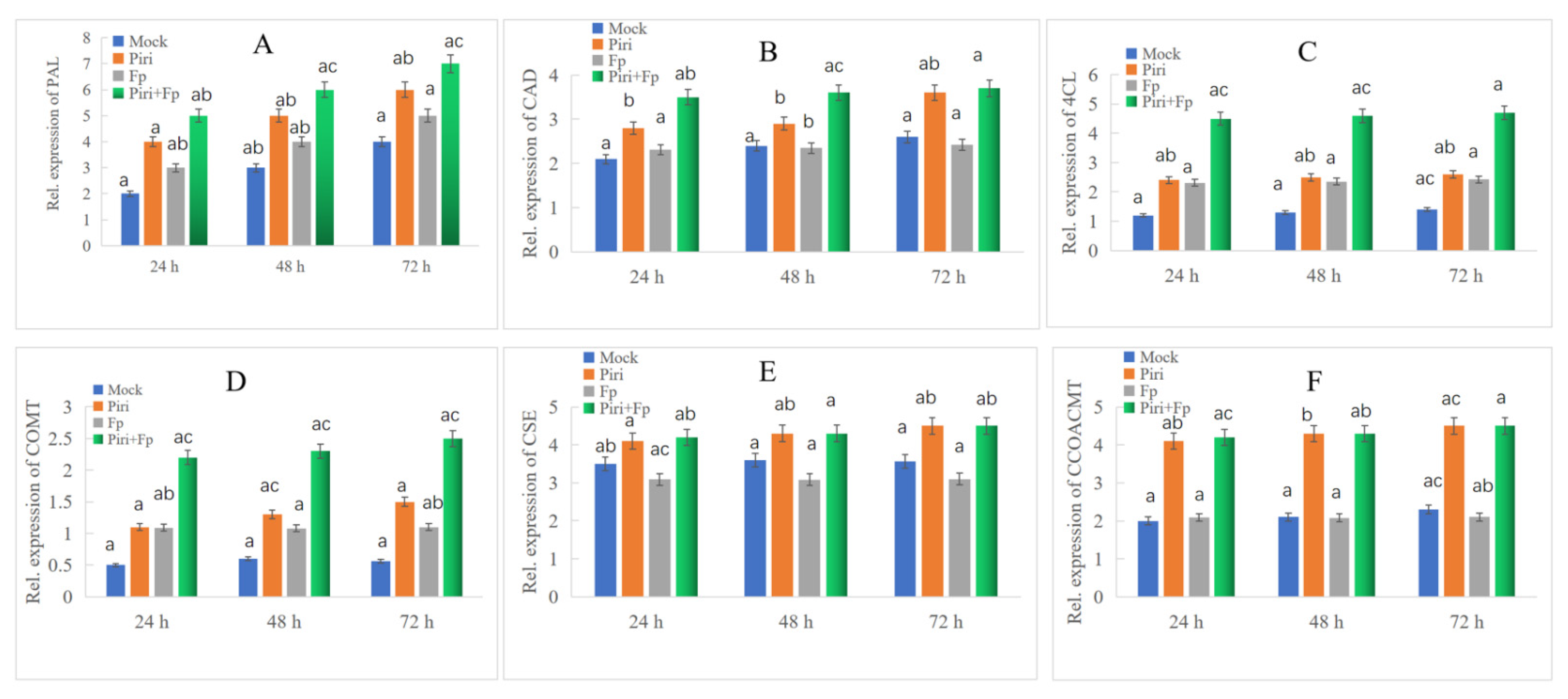 Ijms 24 08797 g007 Ijms 24 08797 g007