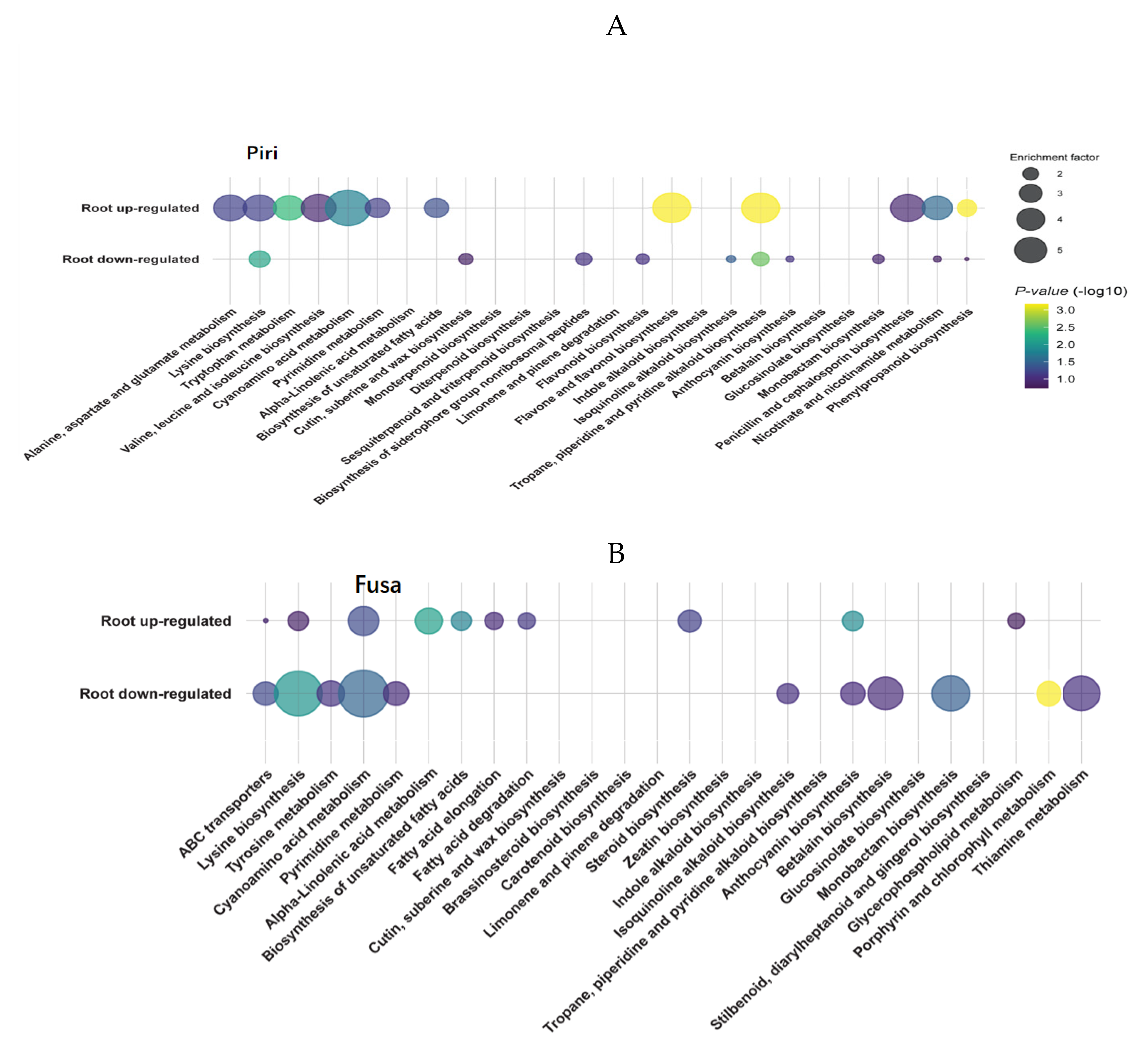 Ijms 24 08797 g009a Ijms 24 08797 g009a