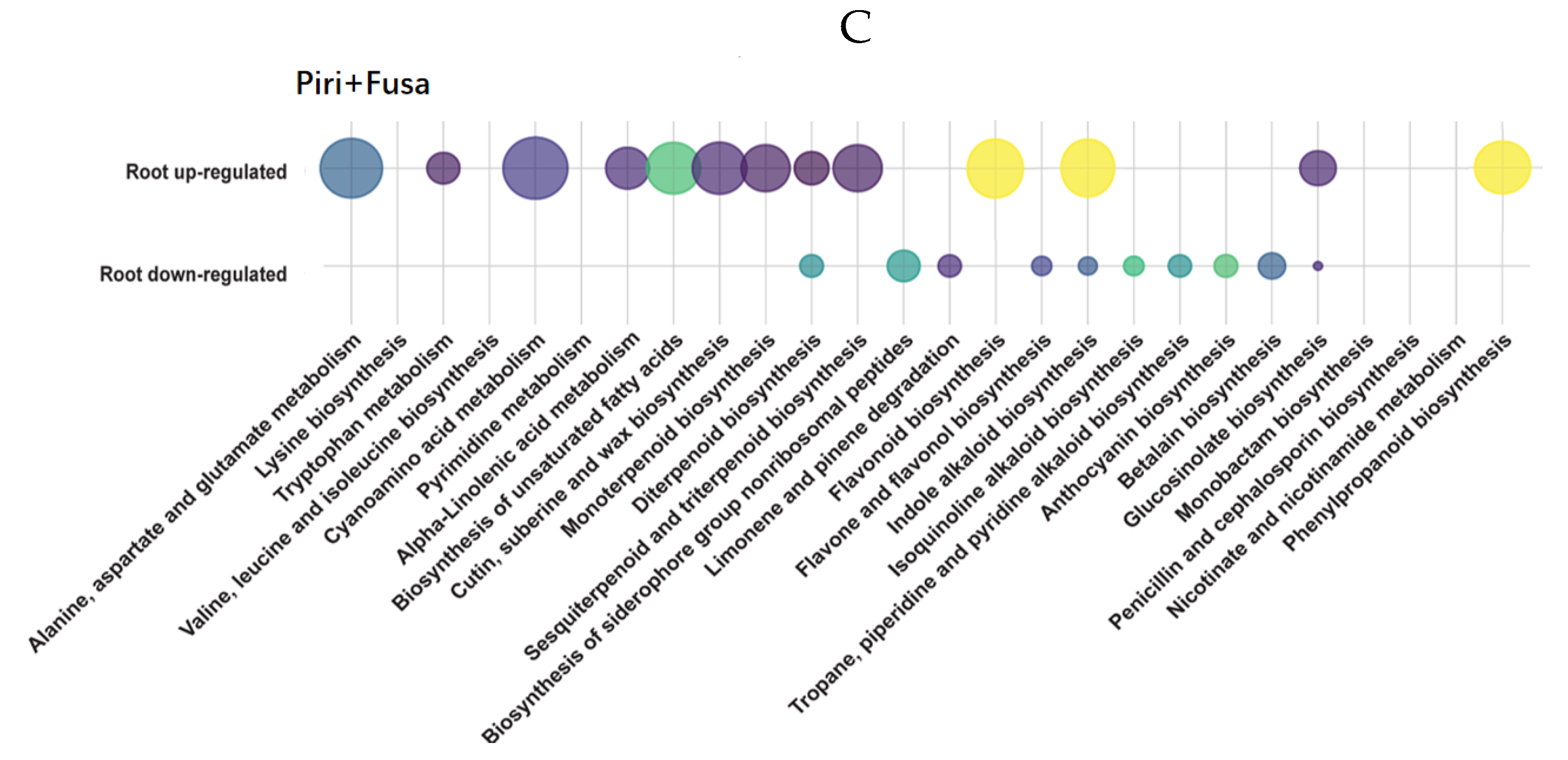 Ijms 24 08797 g009b Ijms 24 08797 g009b