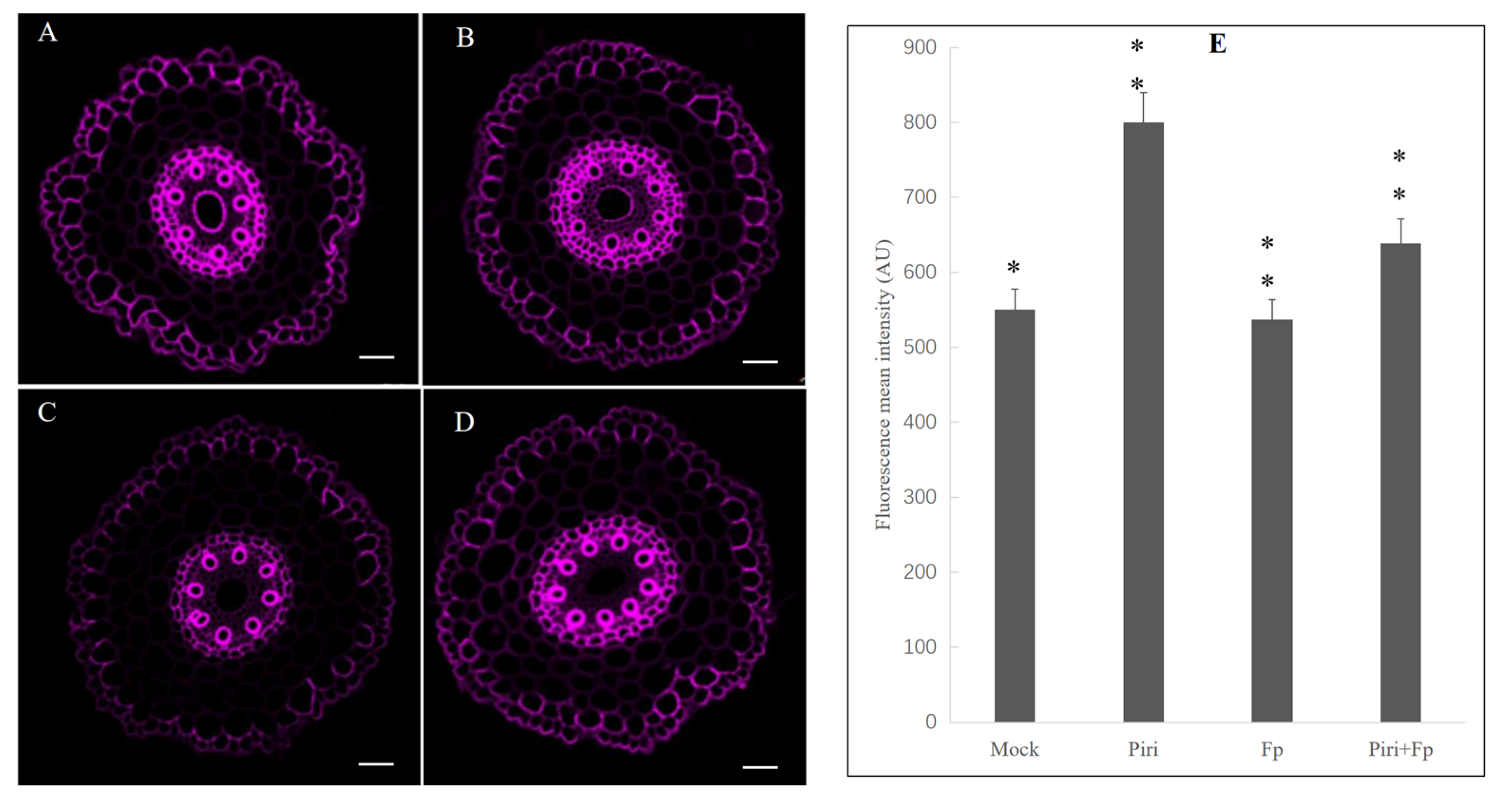 Ijms 24 08797 g011 Ijms 24 08797 g011