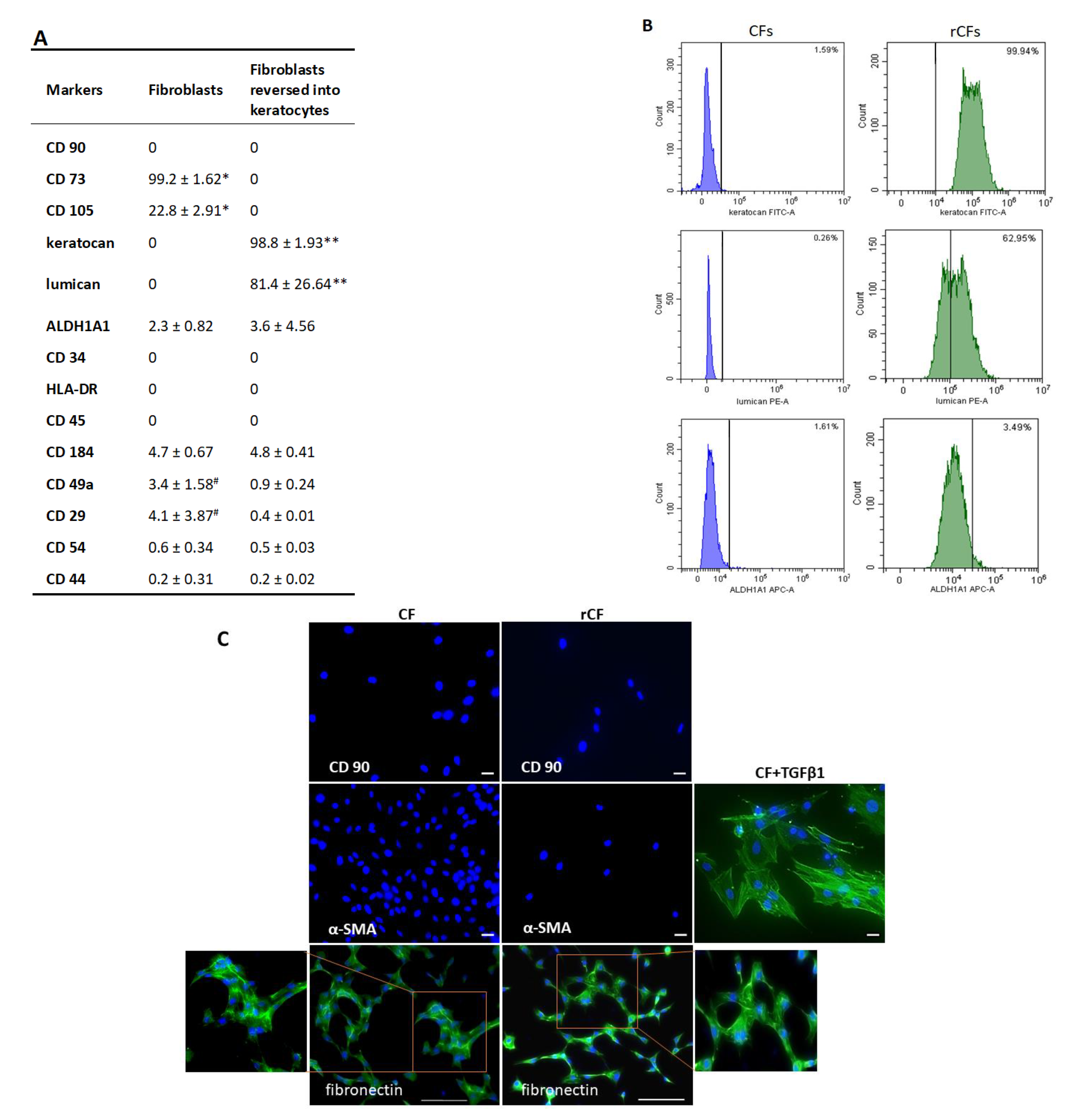Ijms 24 08828 g003 Ijms 24 08828 g003