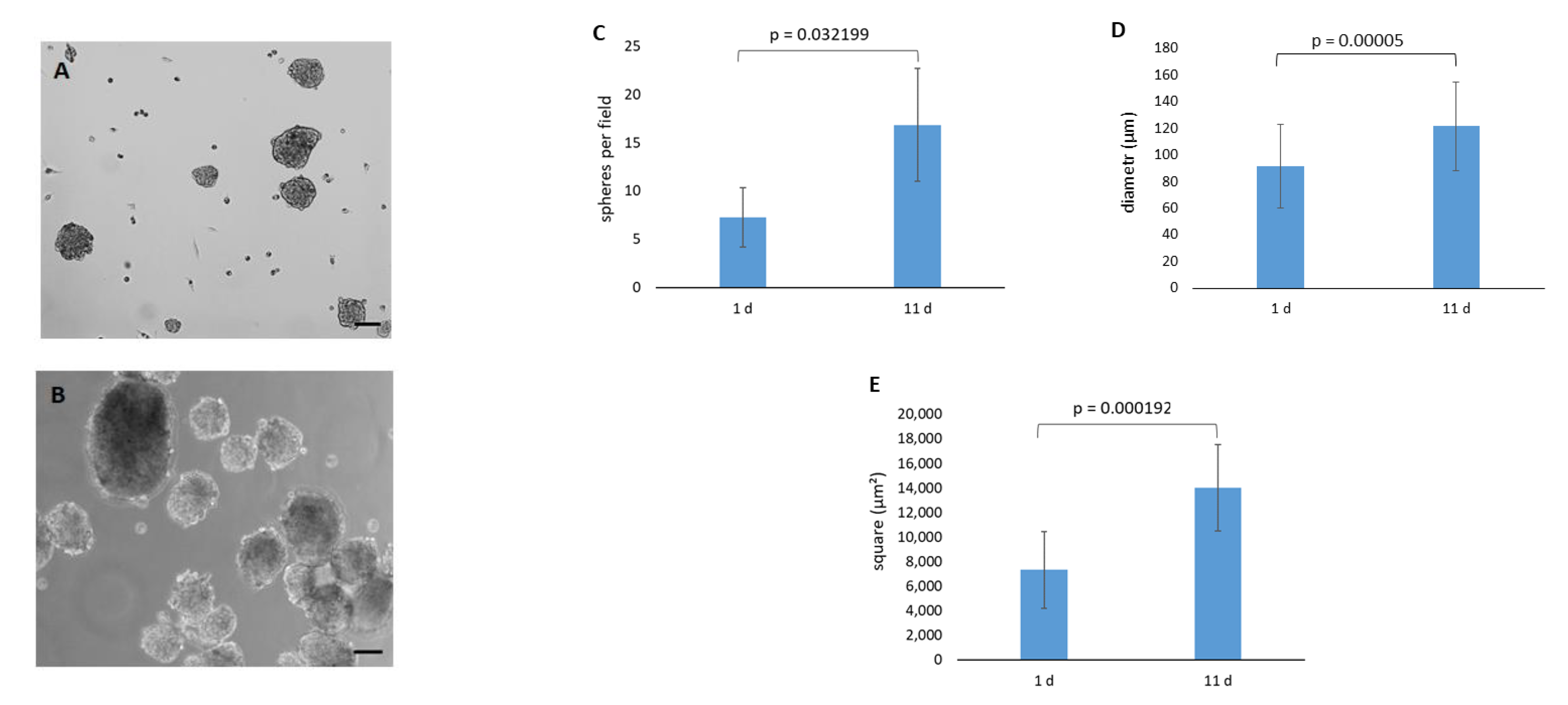 Ijms 24 08828 g004 Ijms 24 08828 g004