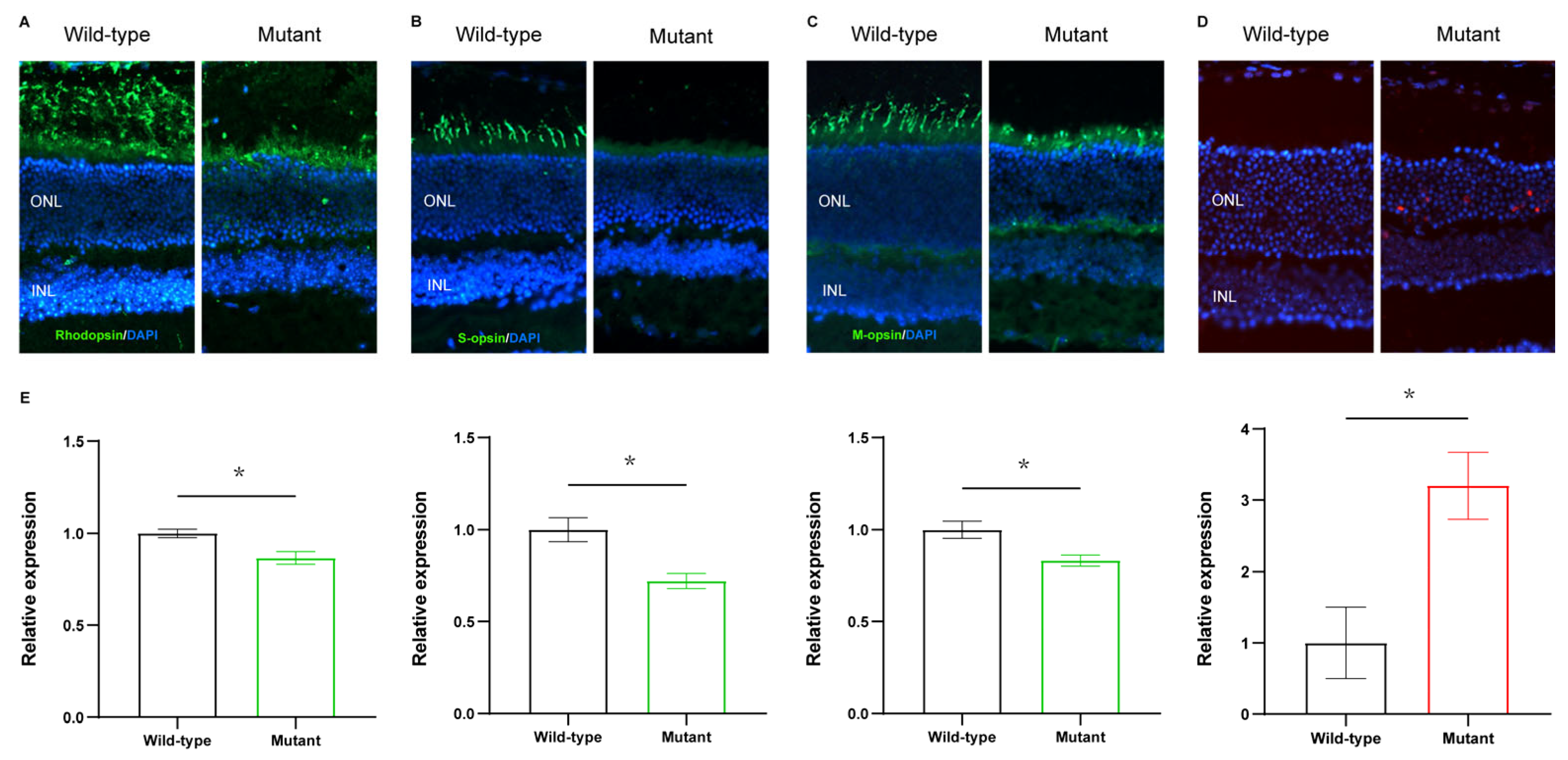 Ijms 24 08843 g003 Ijms 24 08843 g003