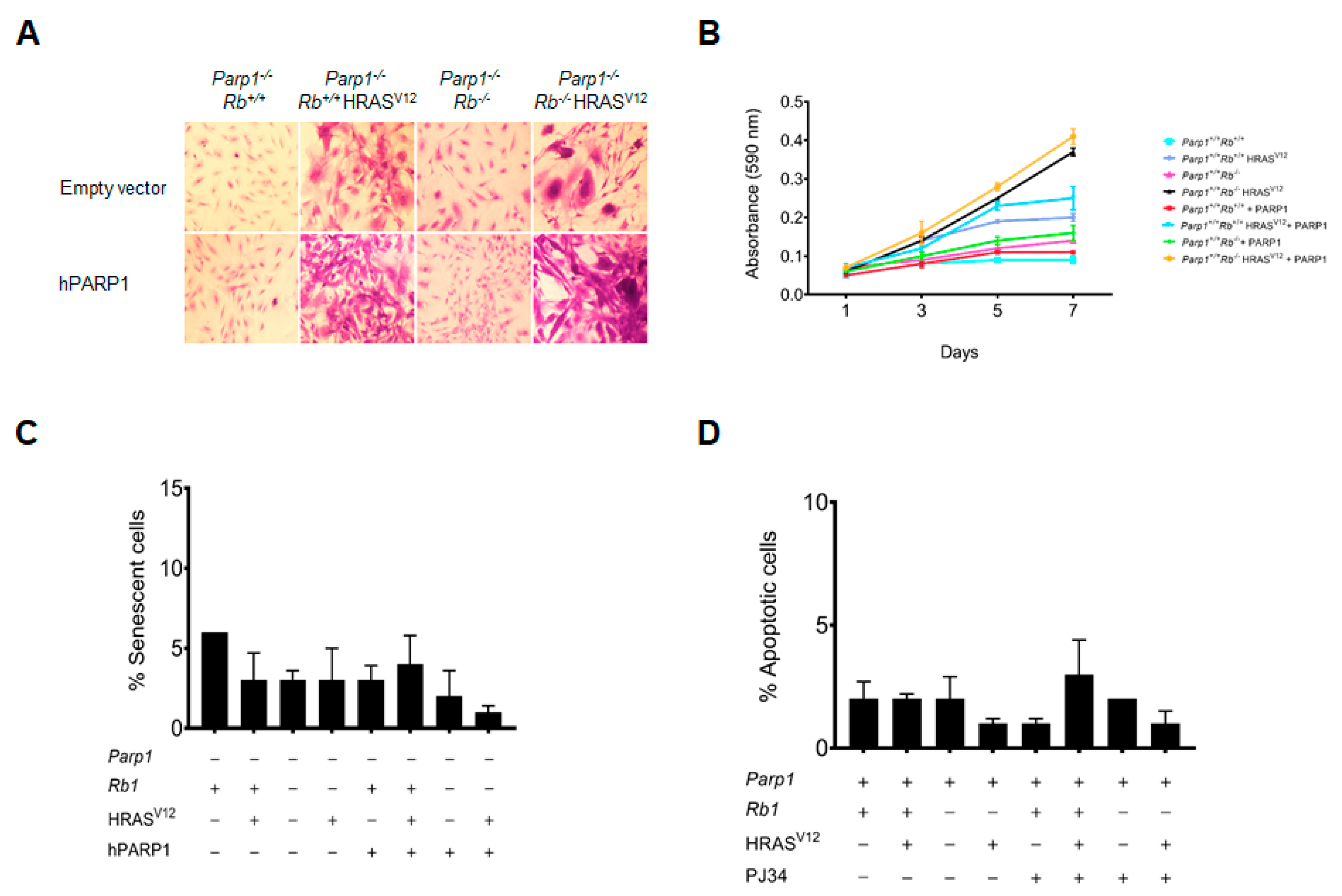 Ijms 24 08849 g004 Ijms 24 08849 g004