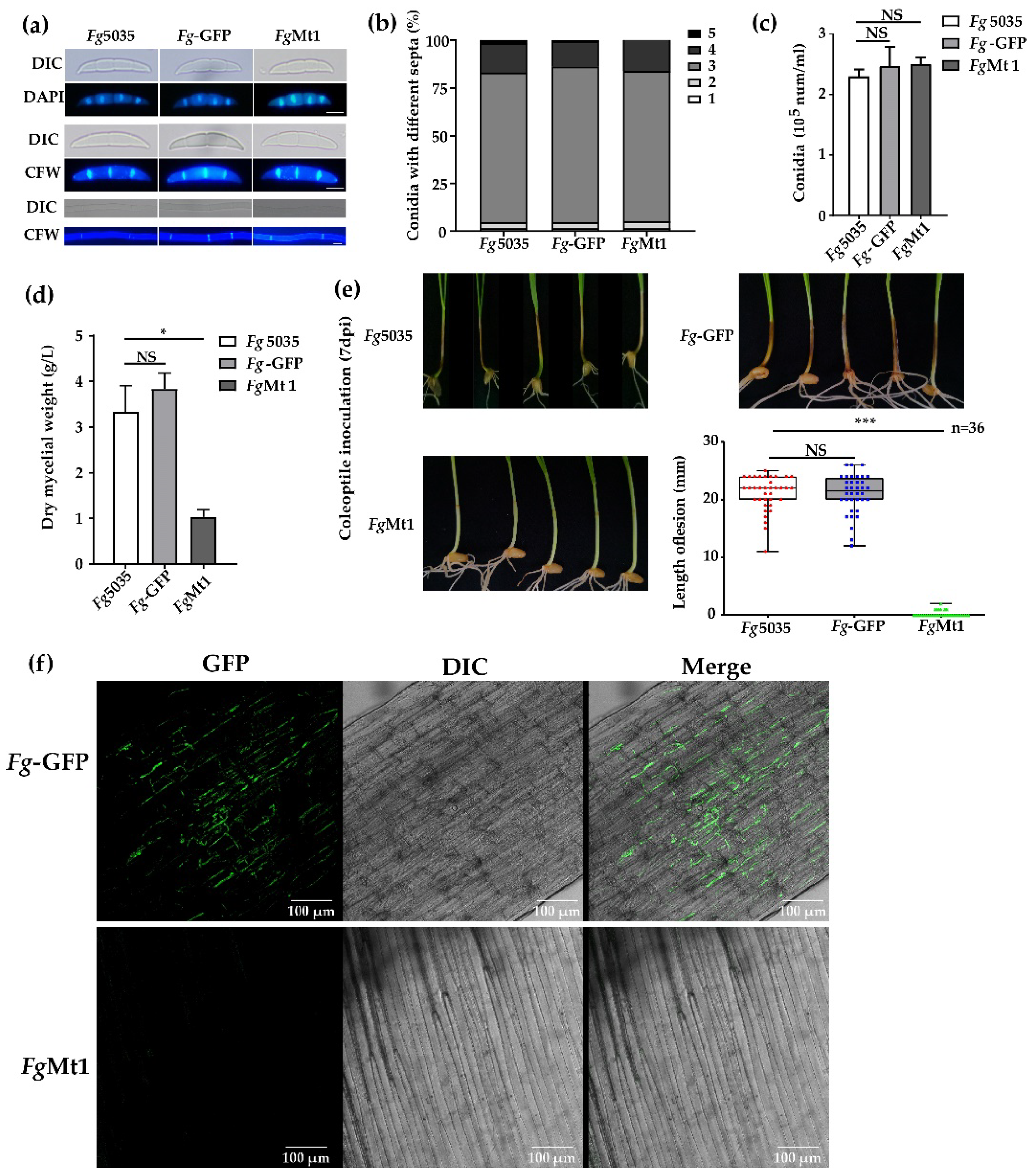 Ijms 24 08857 g002 Ijms 24 08857 g002