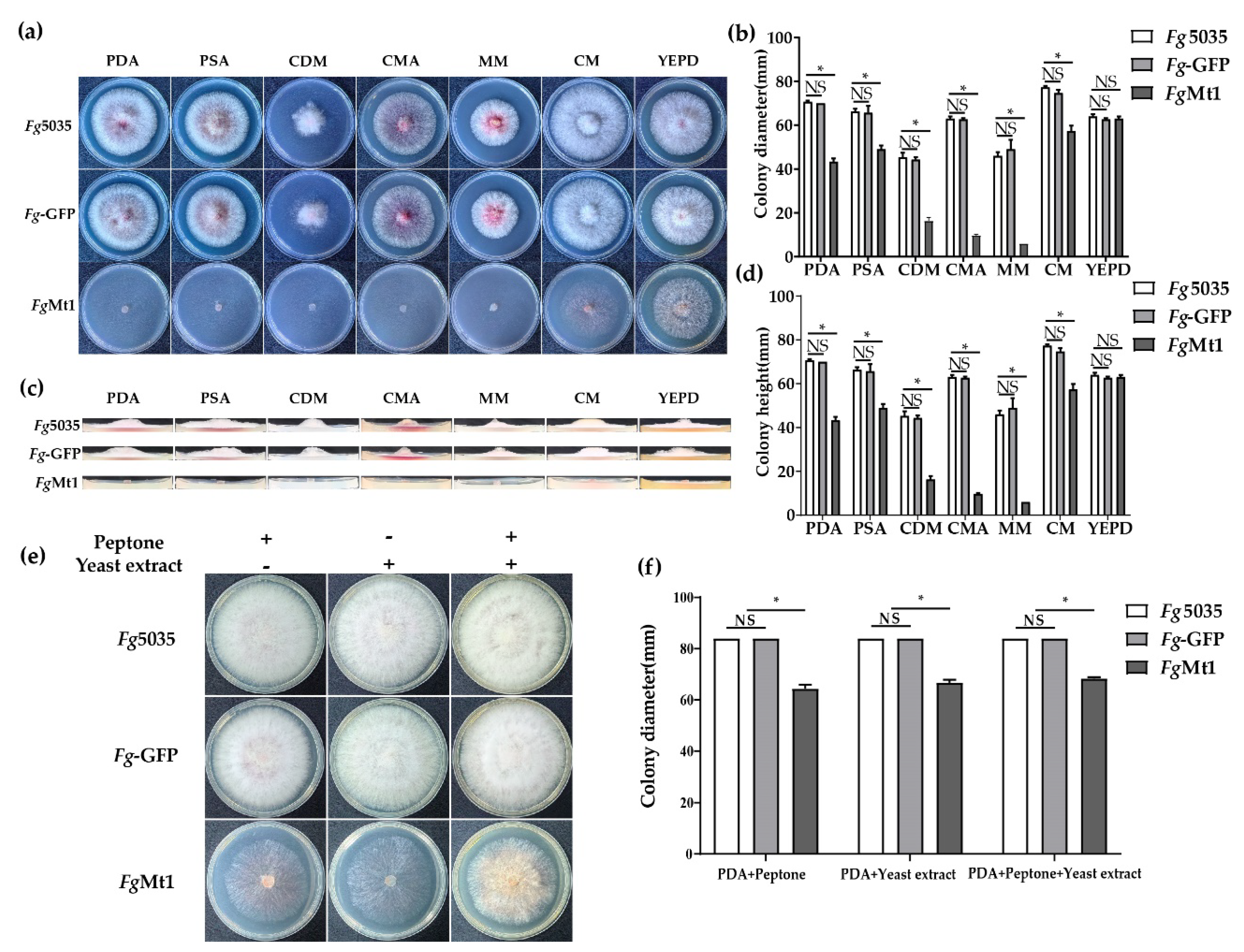 Ijms 24 08857 g003 Ijms 24 08857 g003