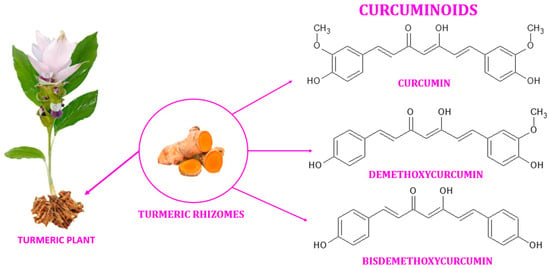 Curcuma Bio en Gélules -️ Formulation Curcumine Exclusive