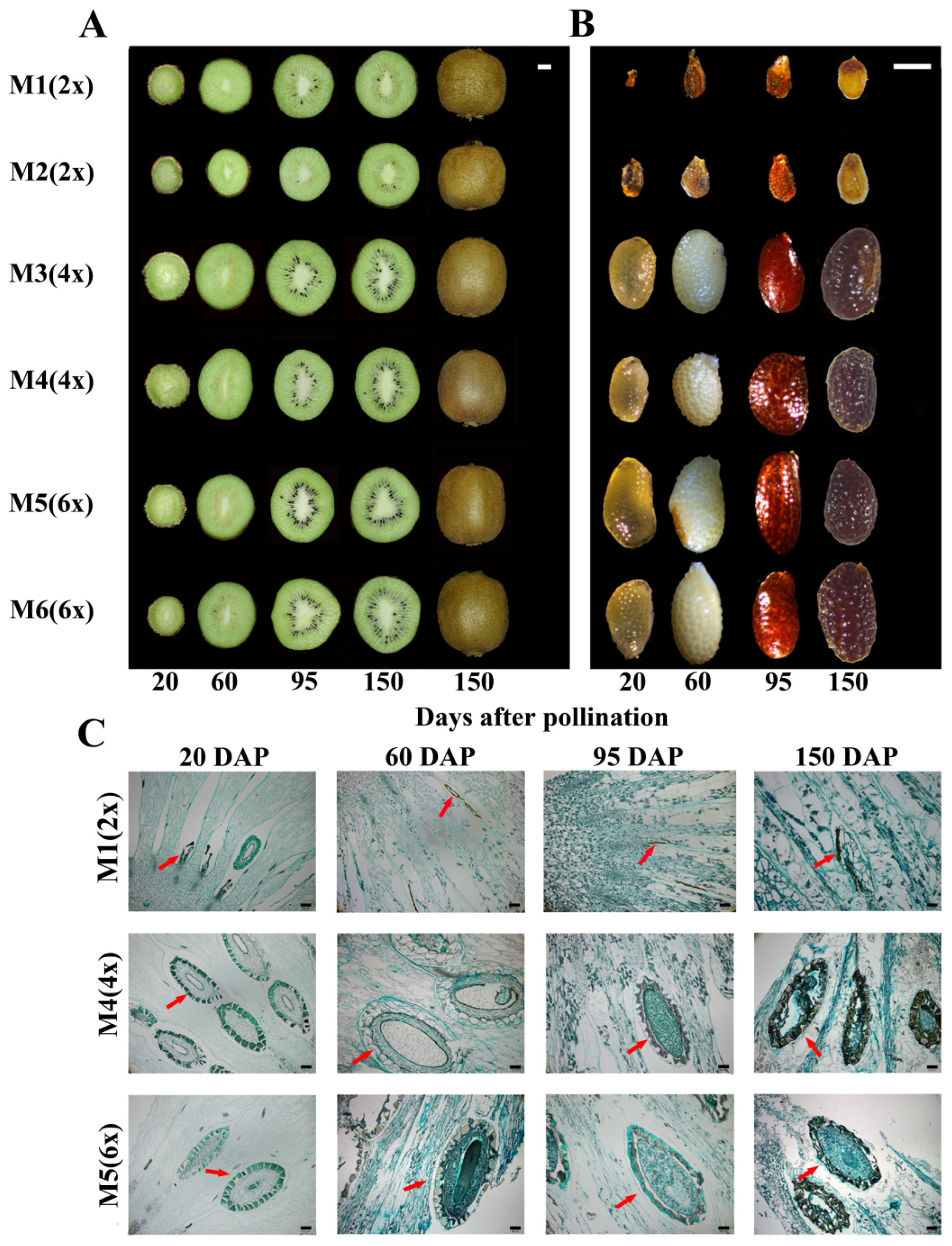 Ijms 24 08876 g001 Ijms 24 08876 g001