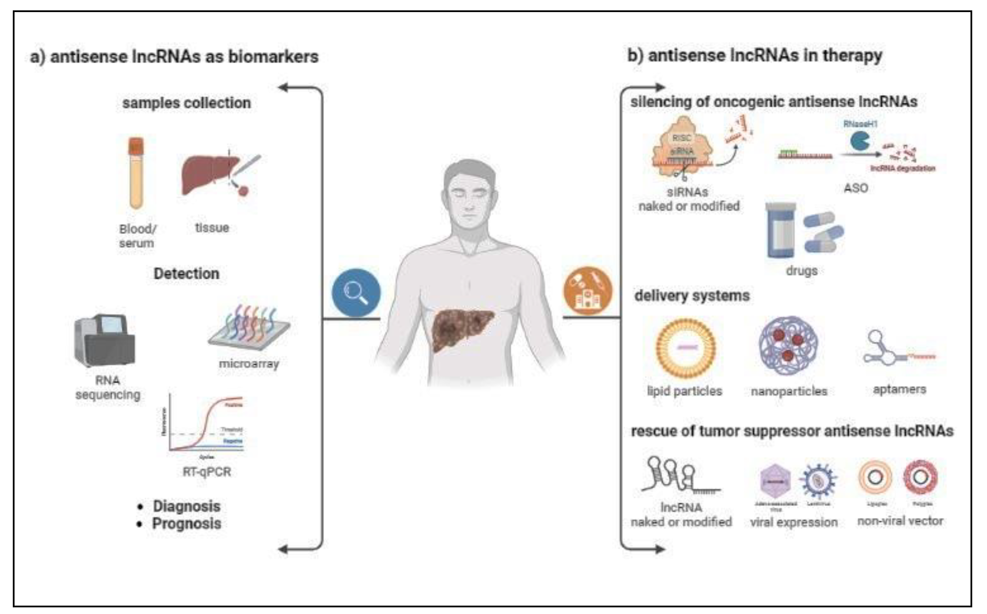 Ijms 24 08886 g003 Ijms 24 08886 g003