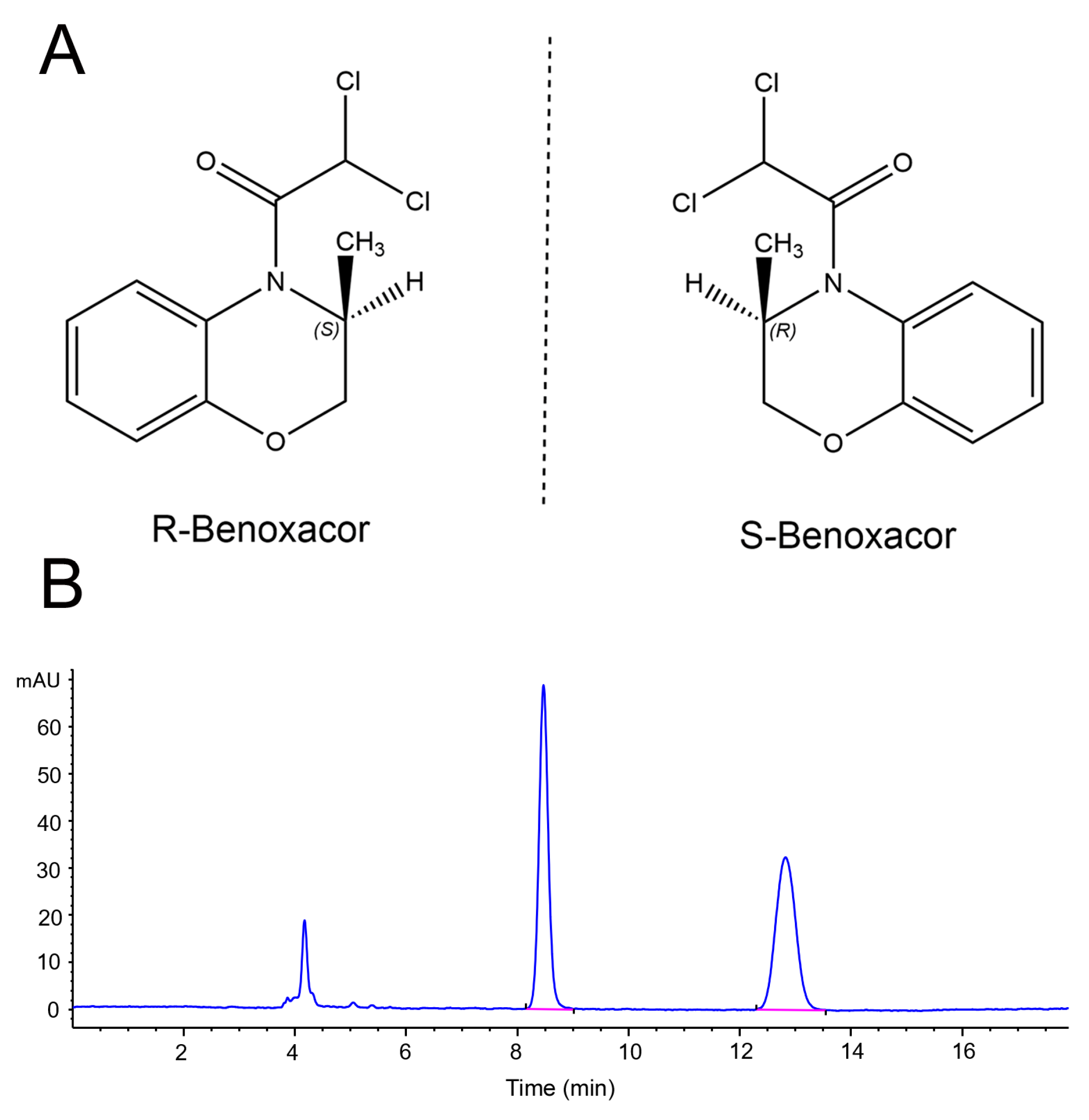 Ijms 24 08887 g001 Ijms 24 08887 g001