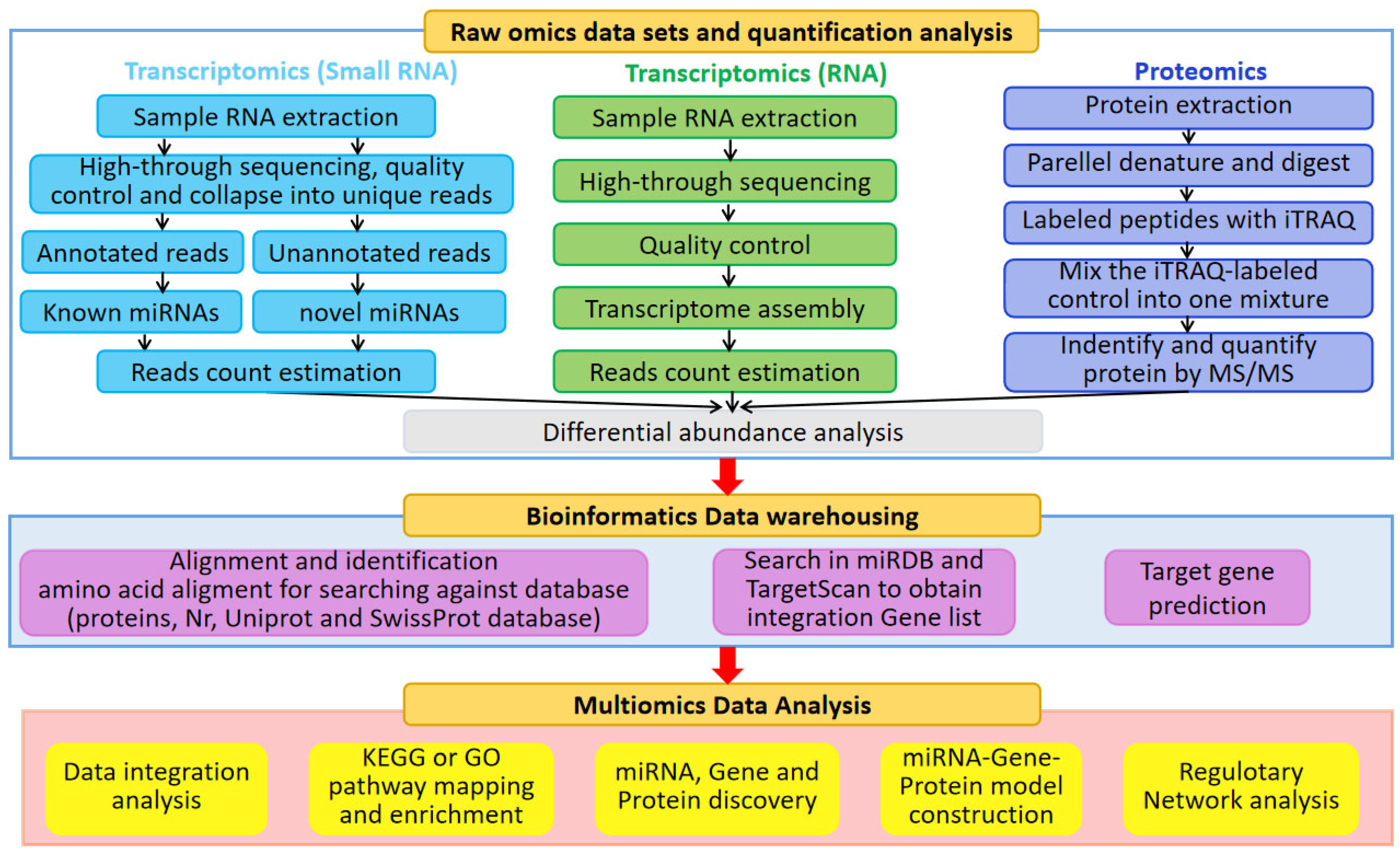 IJMS | Free Full-Text | Transcriptomic and Proteomic Landscape of