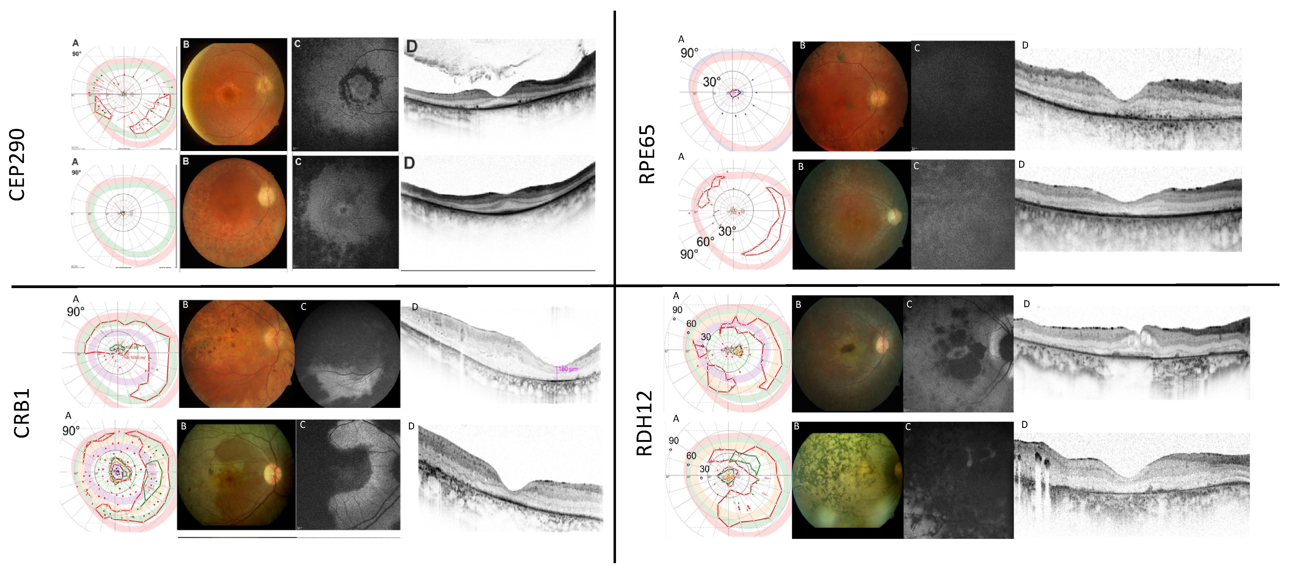 Ijms 24 08915 g004 Ijms 24 08915 g004
